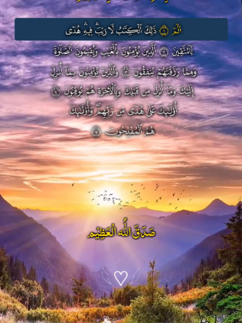 @❣️ Words of Allah ❣️