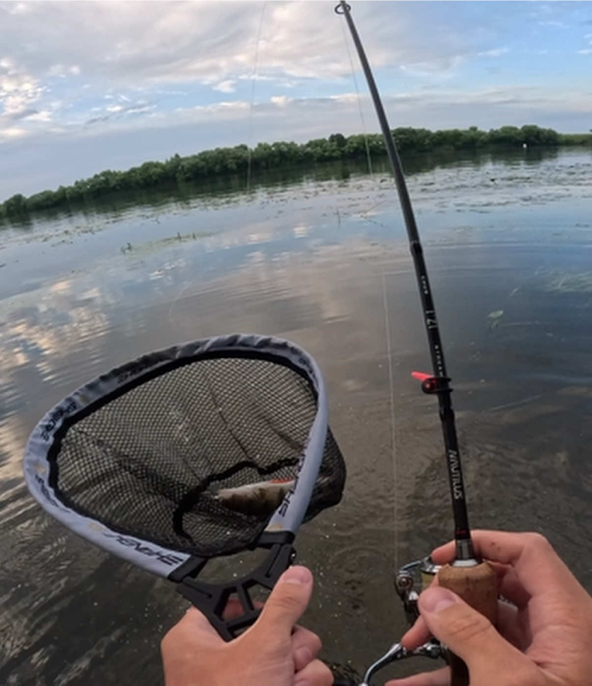 @FE_FISH
