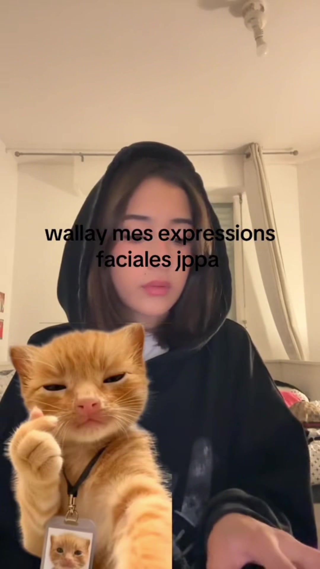 @hayate