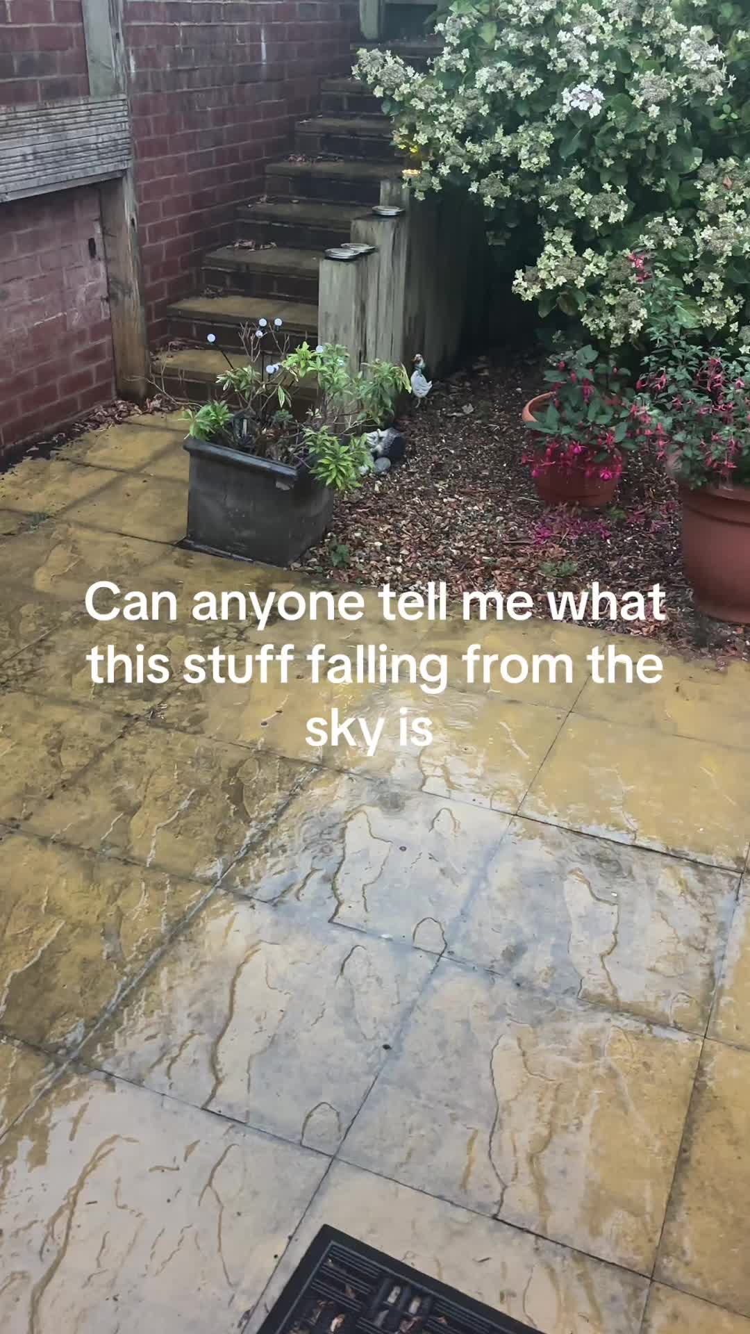 @Debs1507