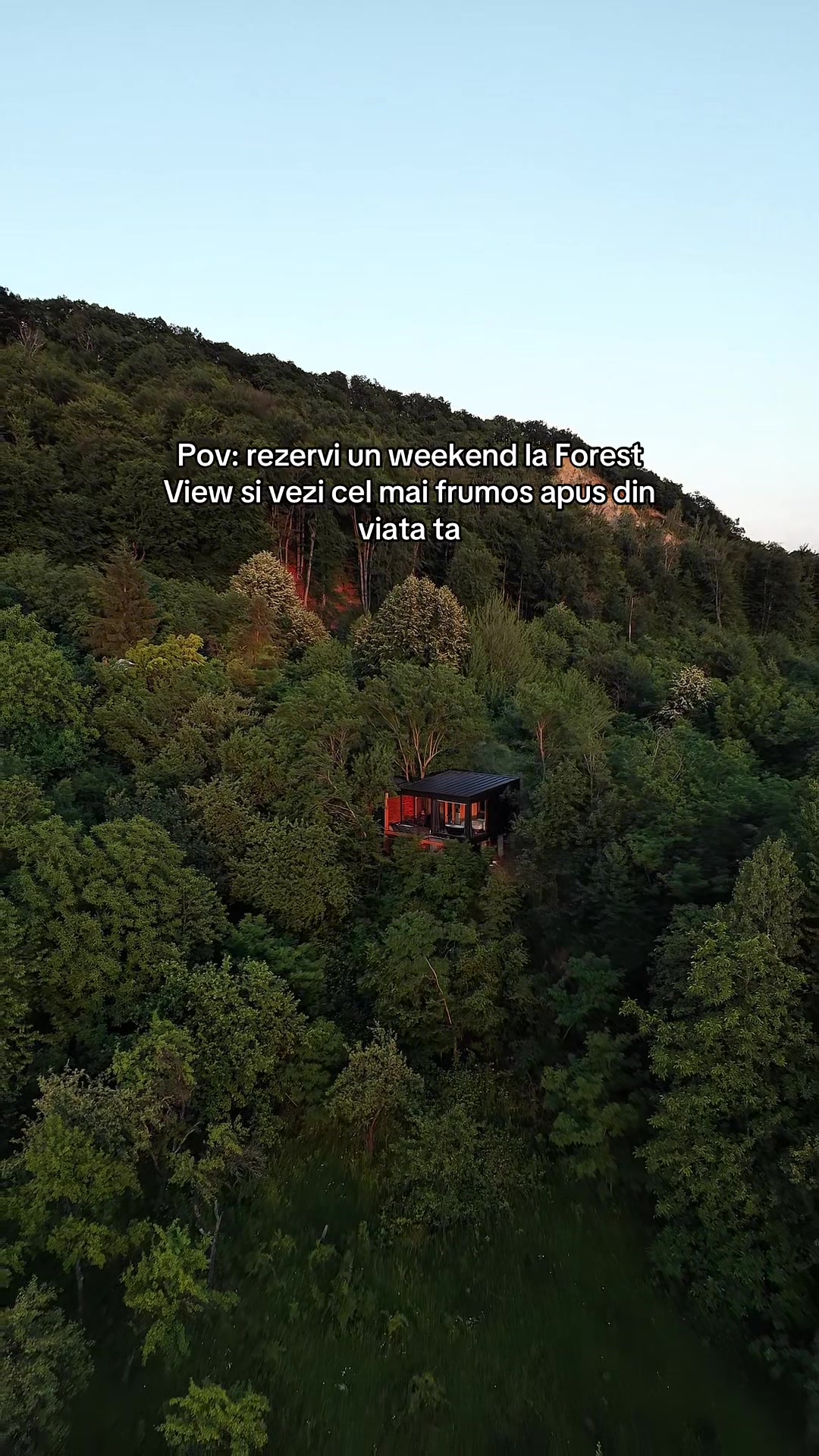 @Forest View Valcea