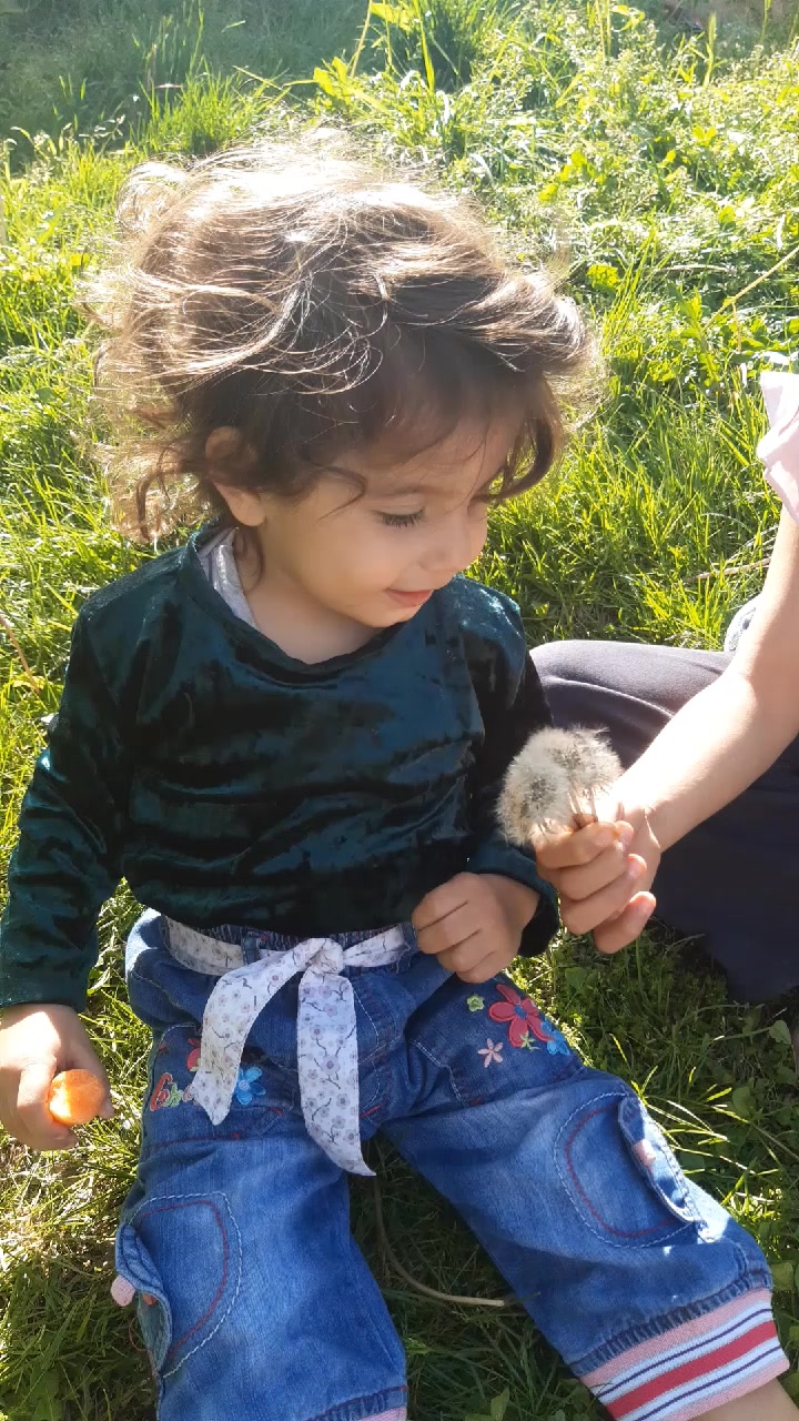 @Hazalikra