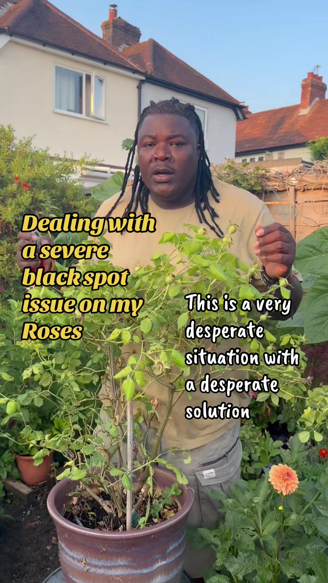 @Izwe