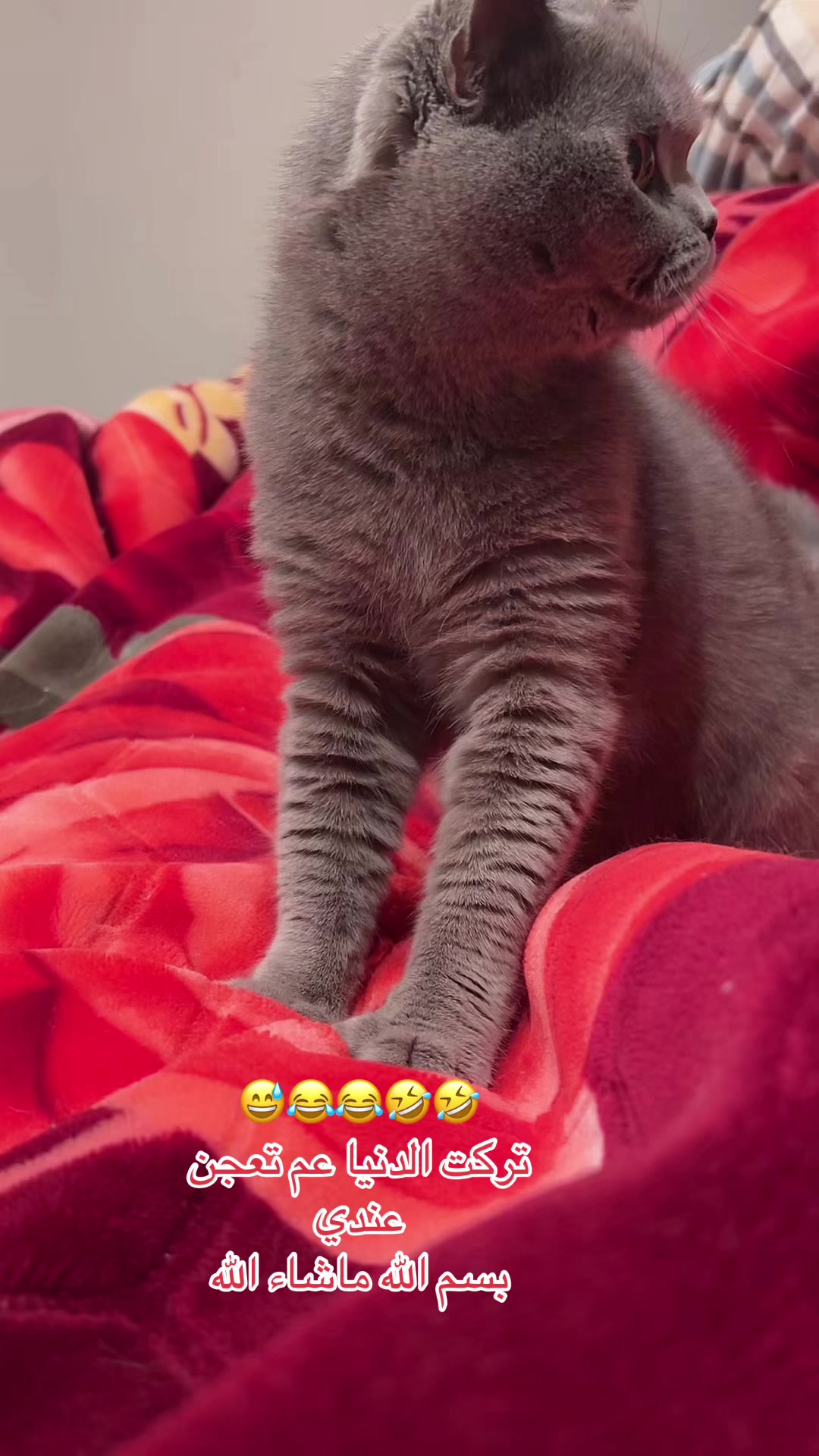@Ibrahim😻Marius