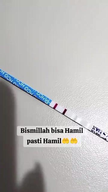 @inspirasi.program.hamil