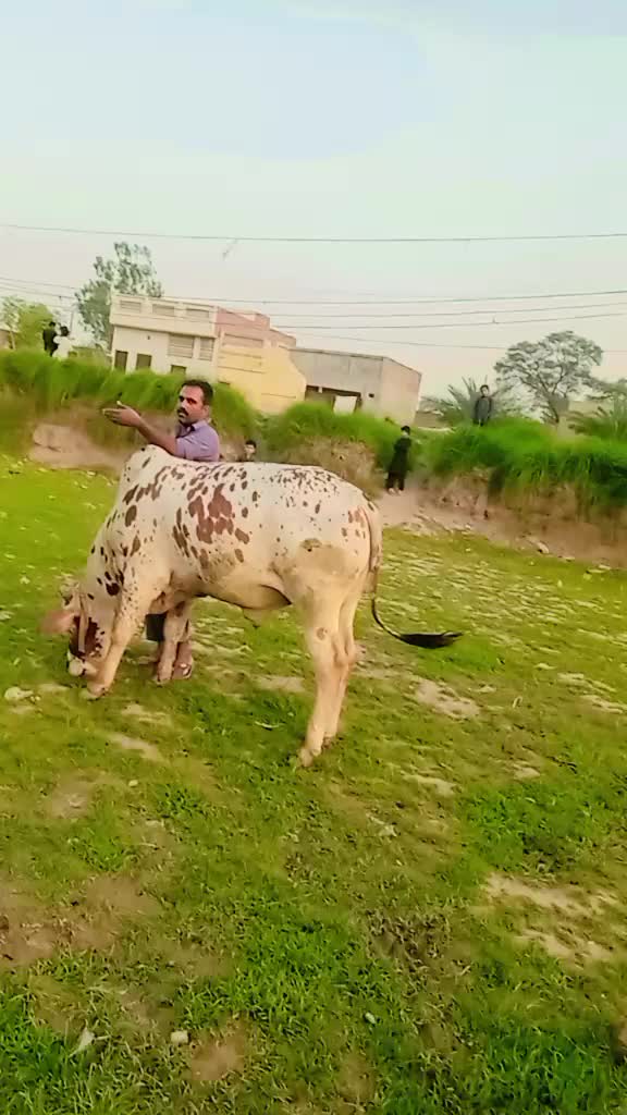 @Faheem kaka