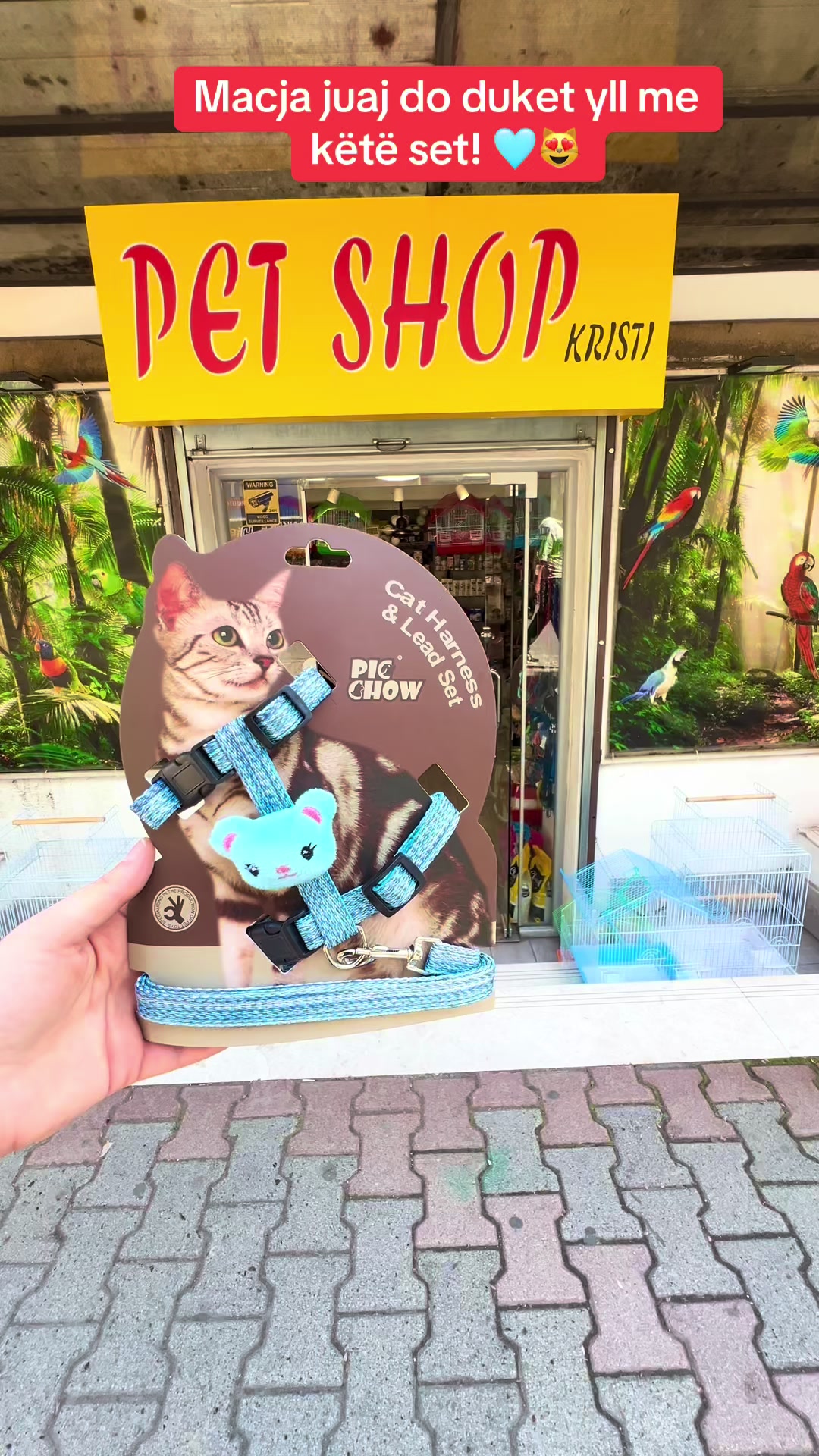 @PET SHOP KRISTI