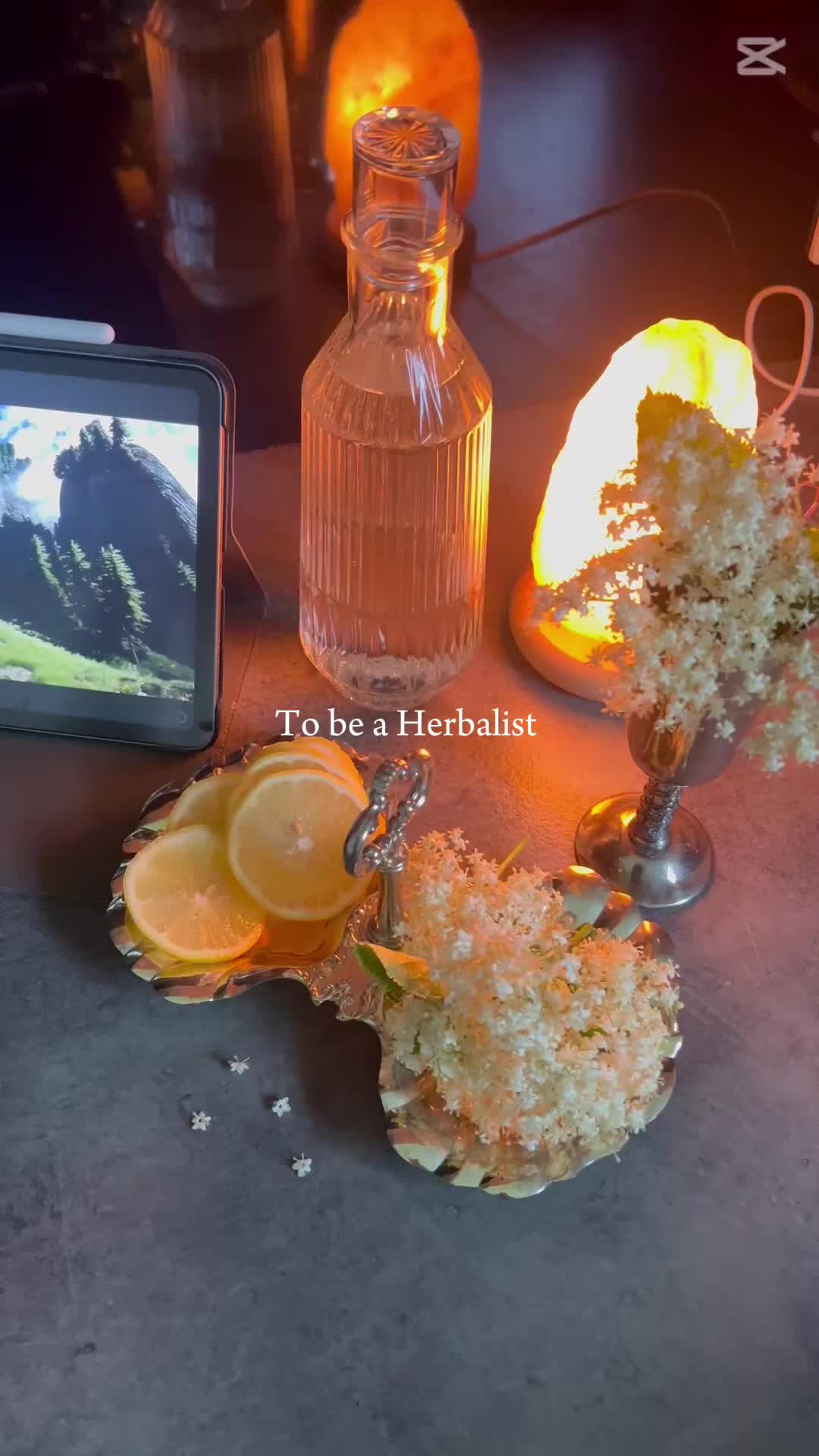 @The Witcher’s Herbalist