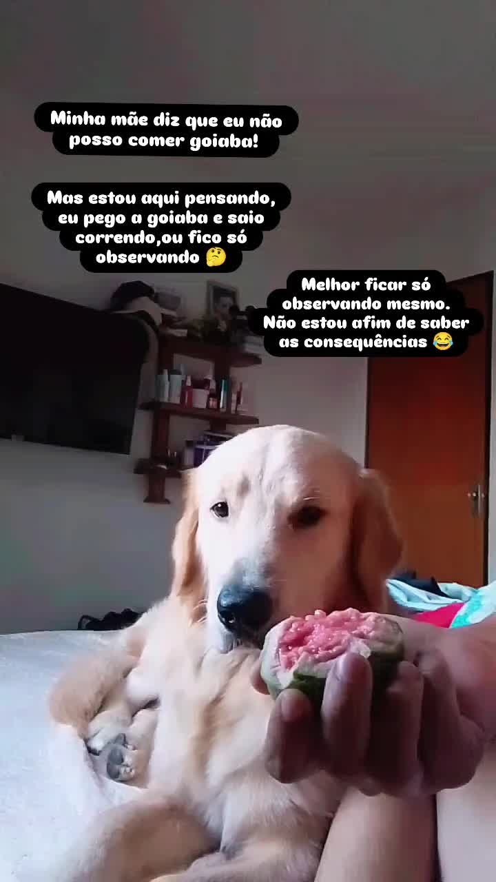 @kallen_villar e max o golden