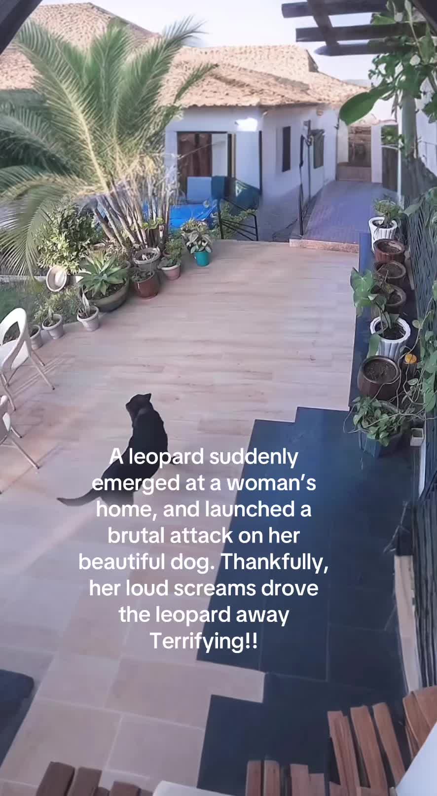 @KJ@LoveAnimalsEpicNature