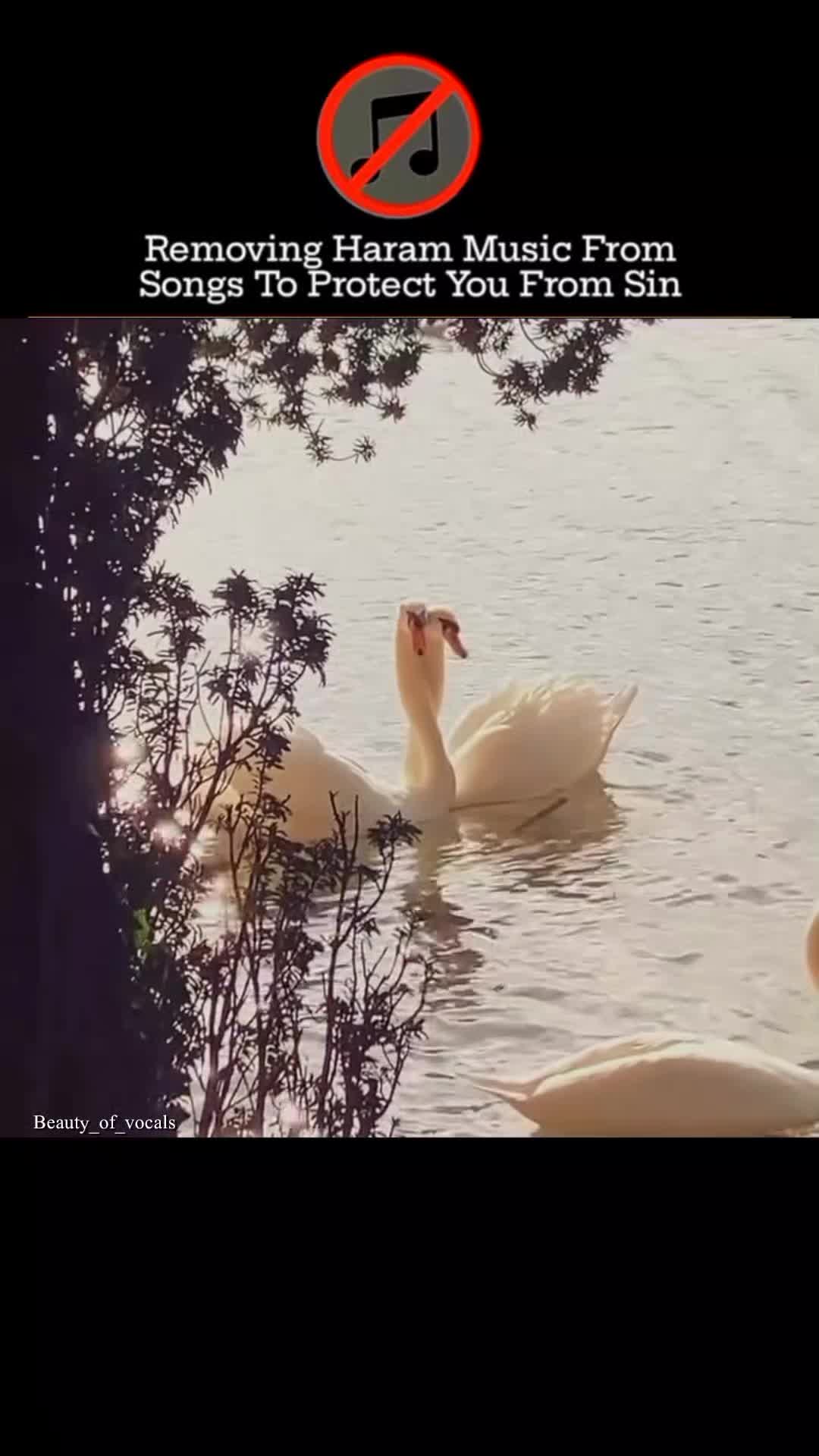 @𝐁𝐞𝐚𝐮𝐭𝐲_𝐨𝐟_𝐕𝐨𝐜𝐚𝐥𝐬
