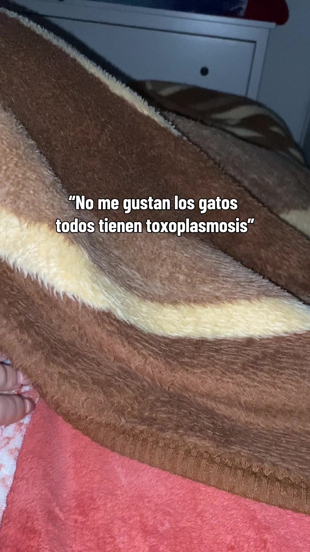 @- Alejandra  🐱💕