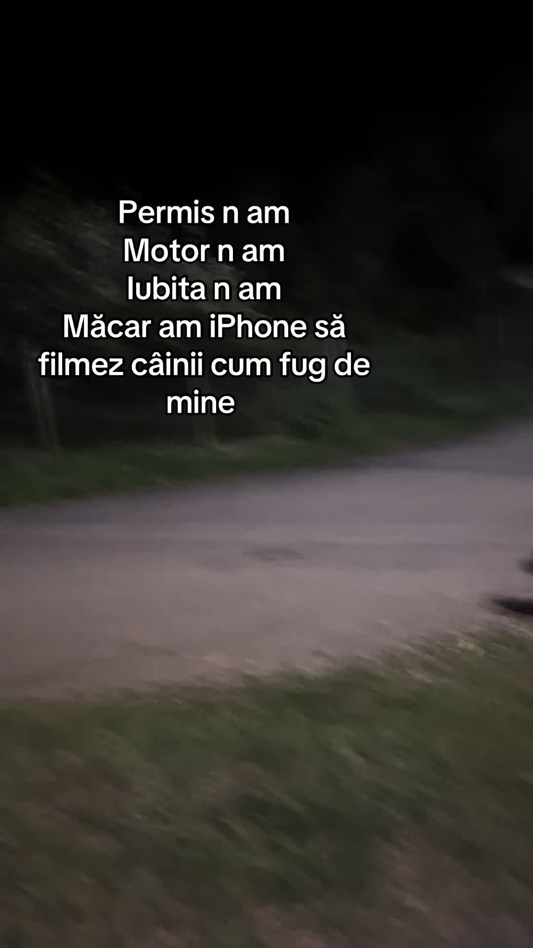 @bogdant.26