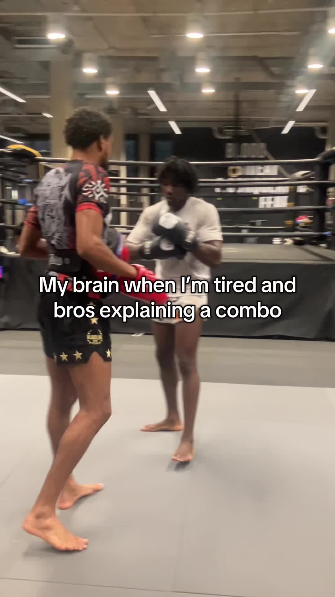 @Bfights