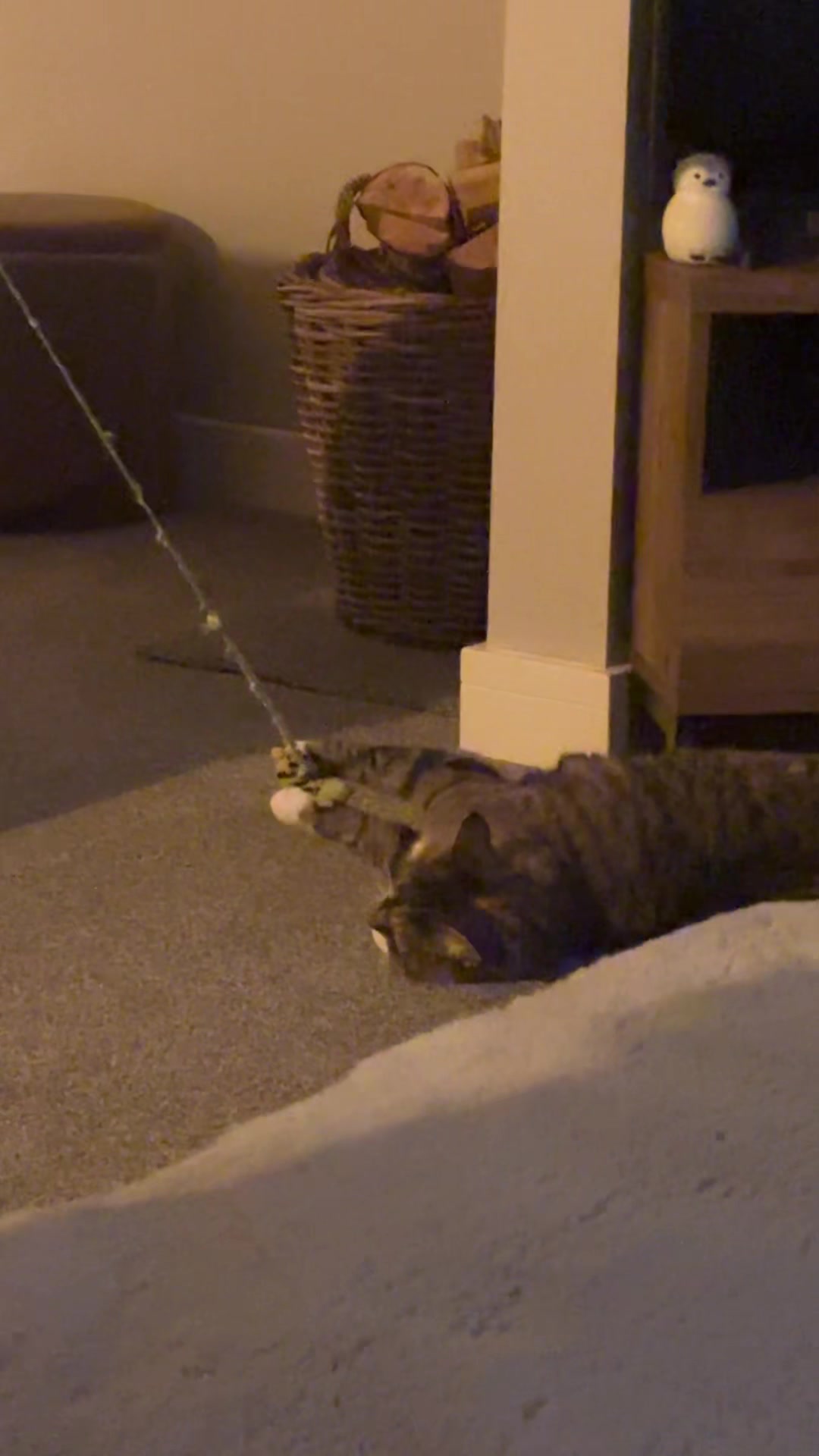 @Antonia Camarda