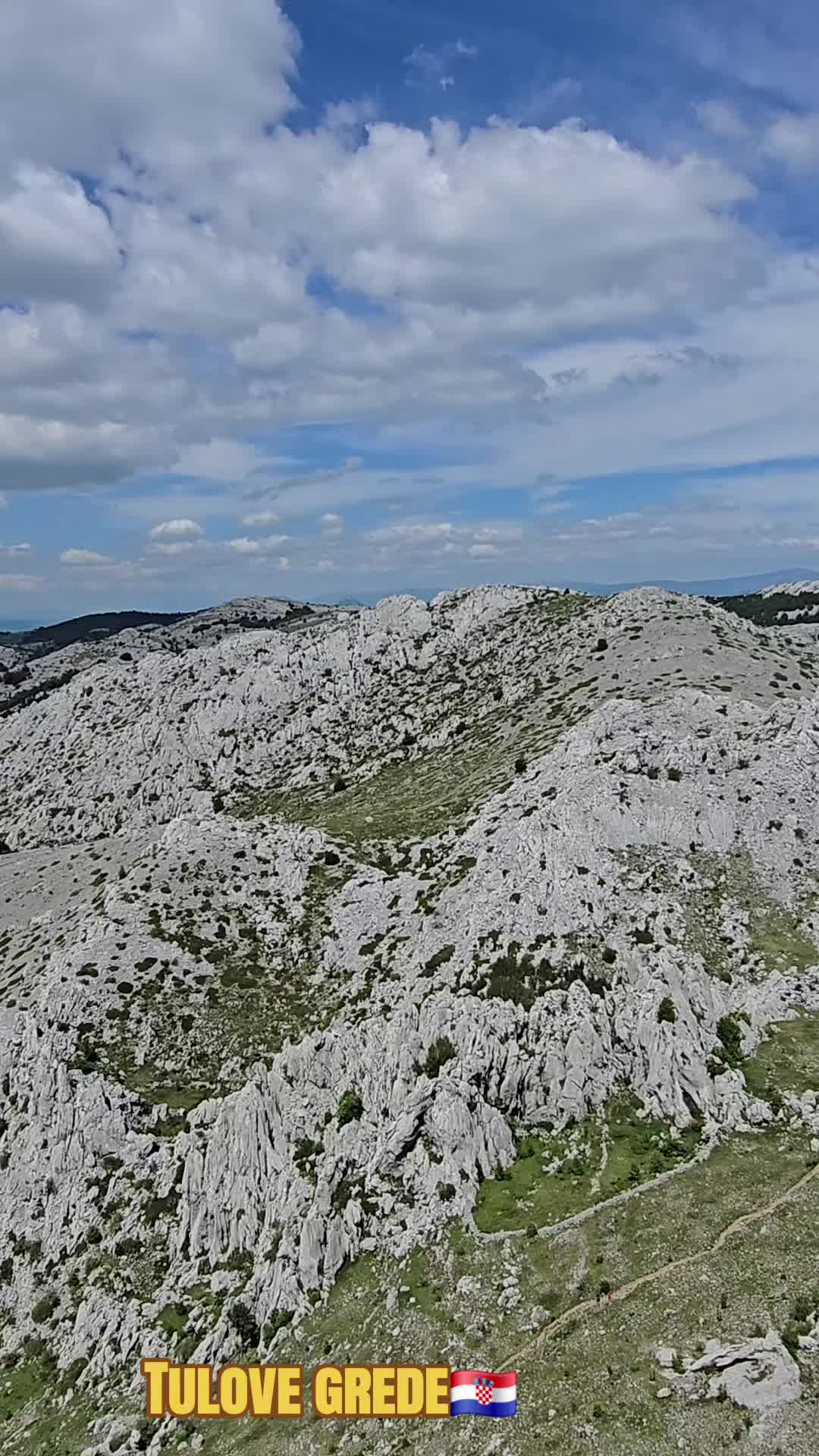 @Maja Crnobrnja