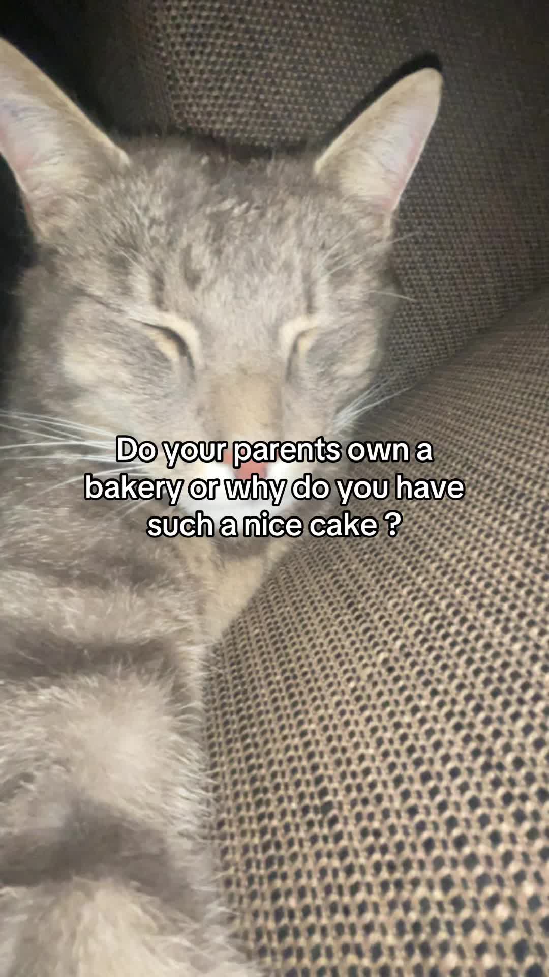@Micky