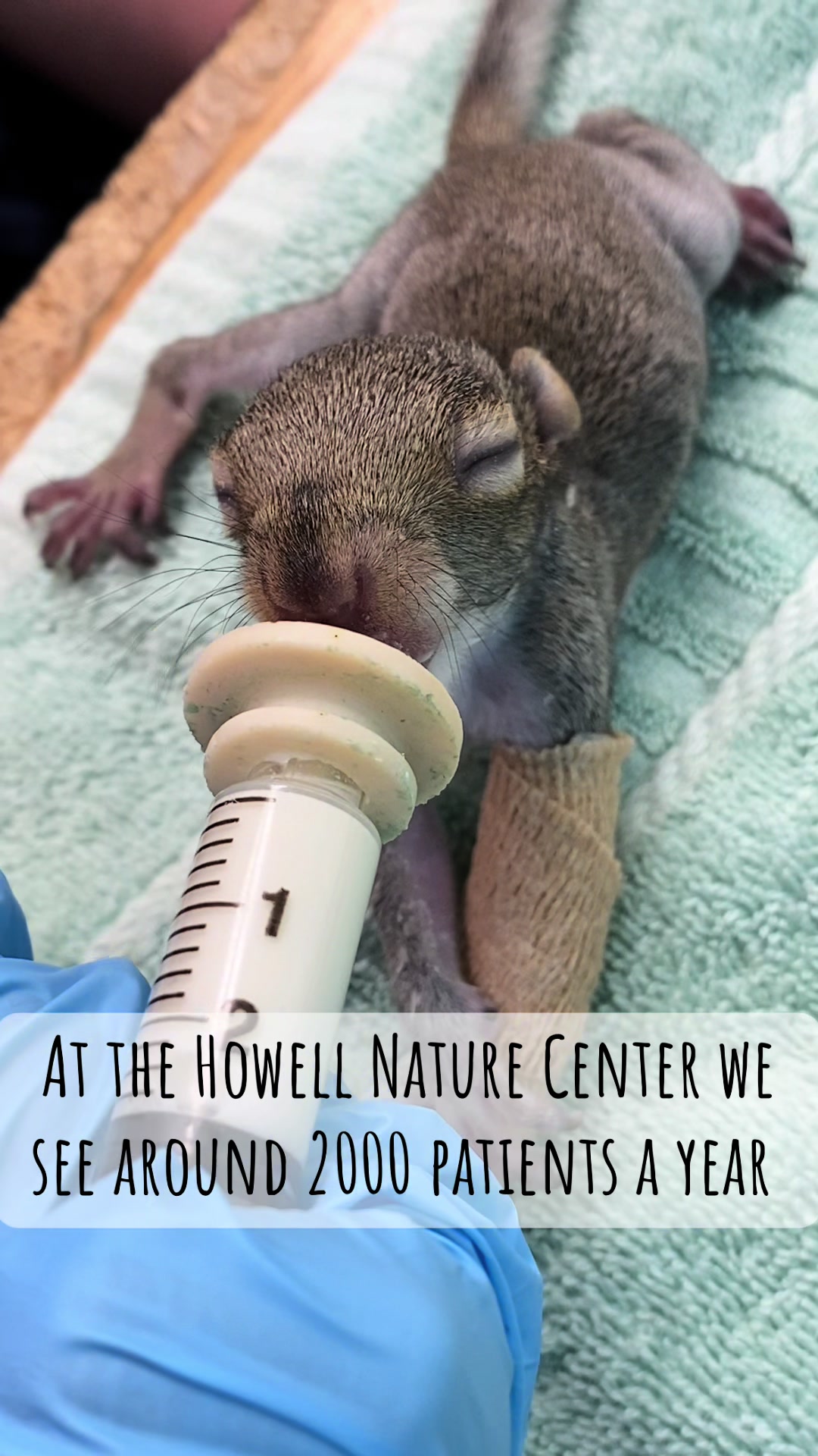 @HowellNatureCenter