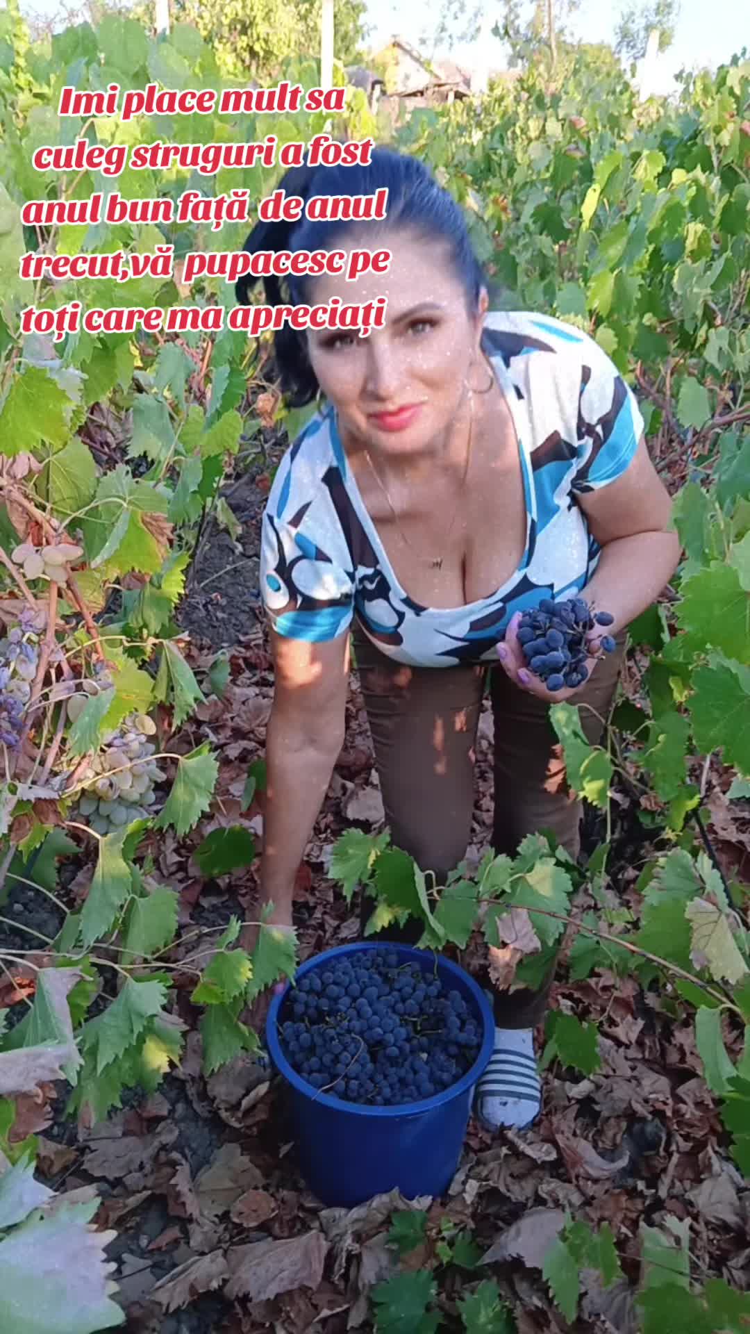 @mariana.iordache