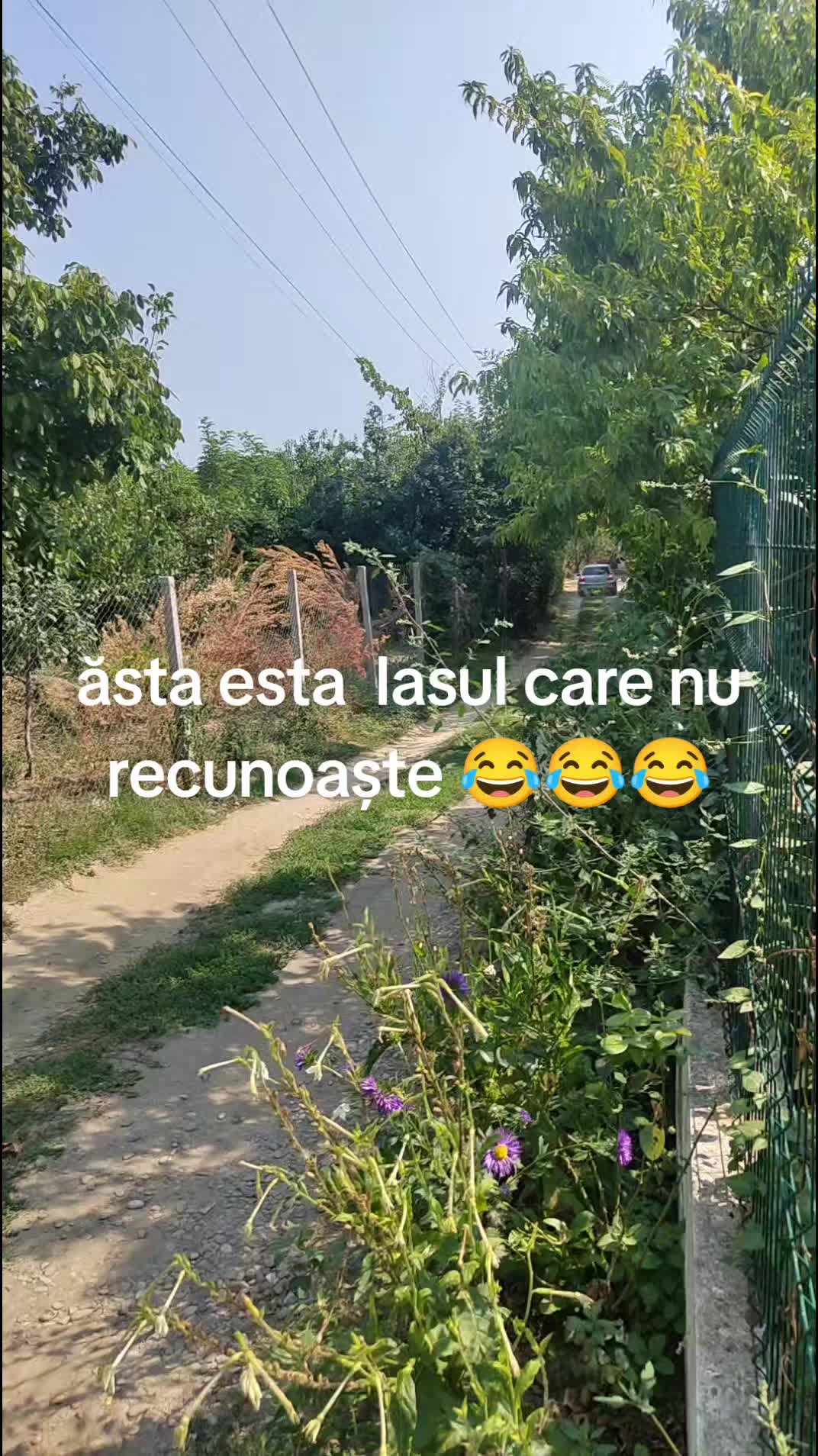 @Sebastian Luminița