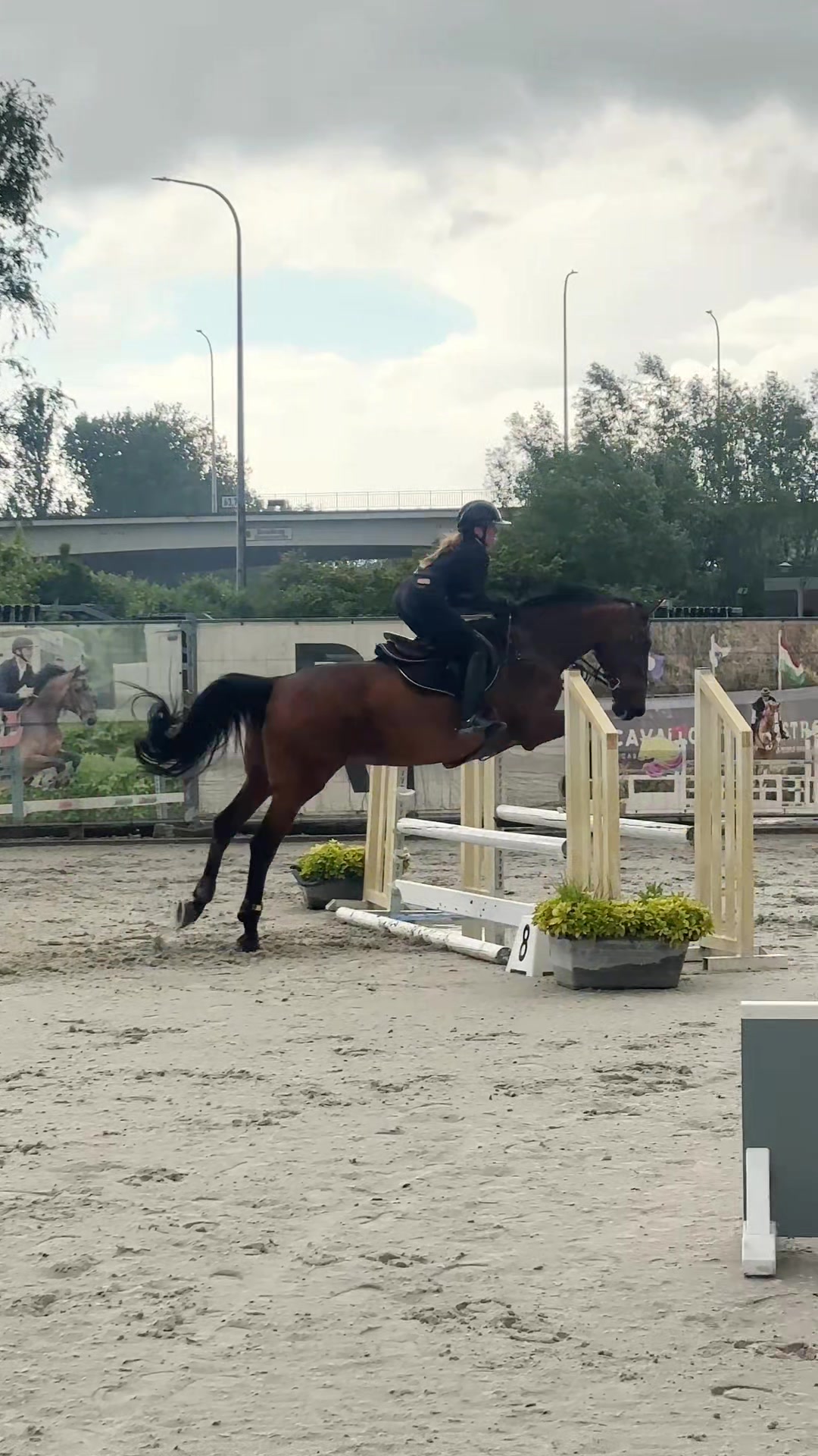 @equi.jcf