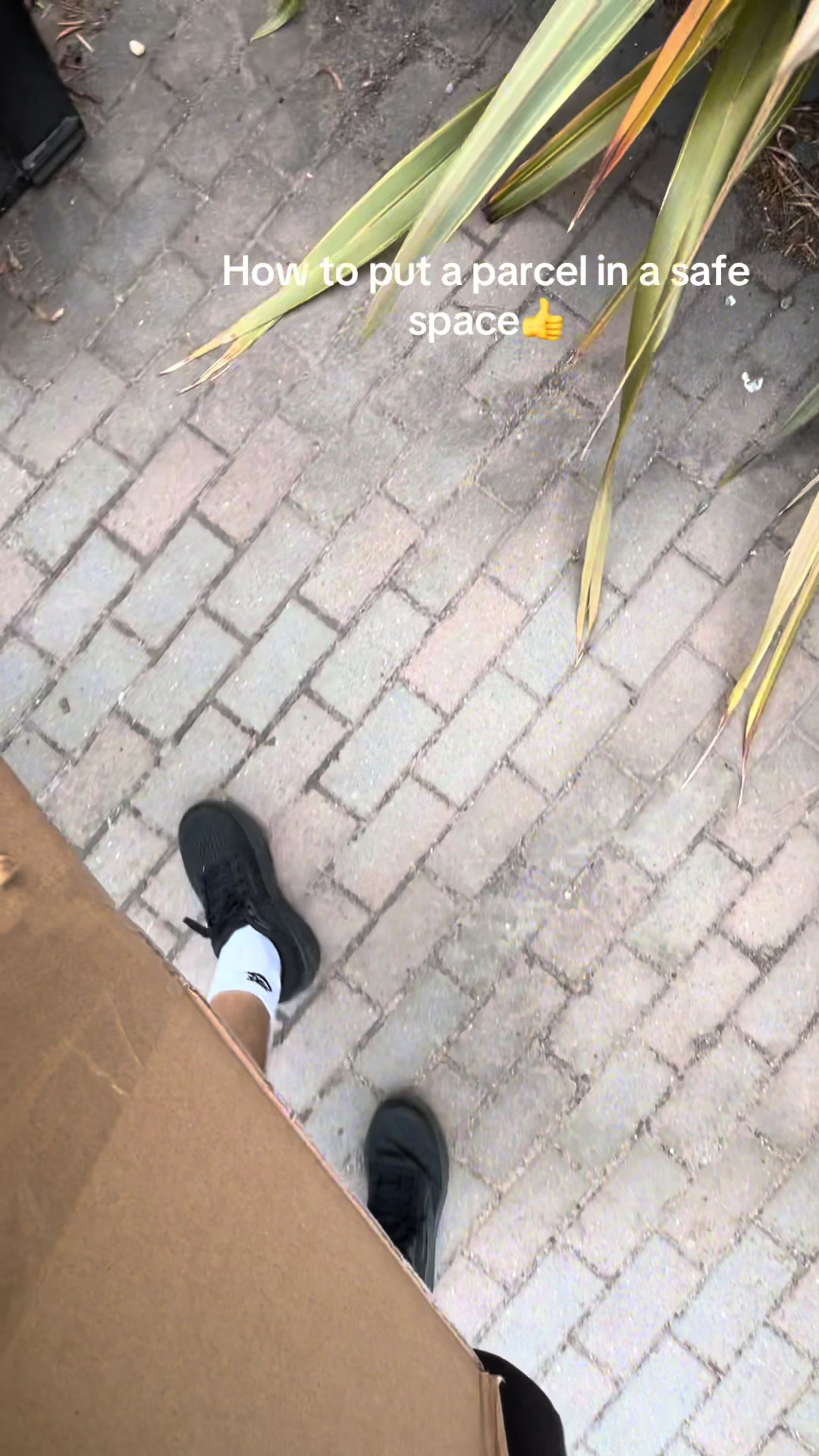 @amazonpov