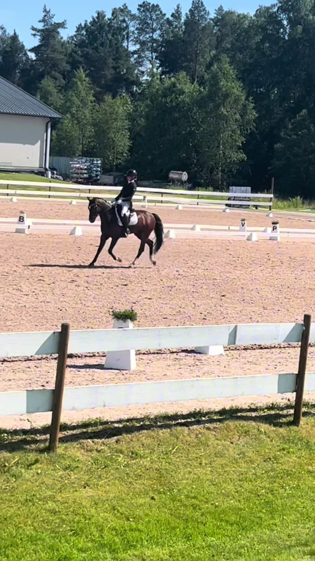 @Coreen Grønvold Belgen🇳🇴