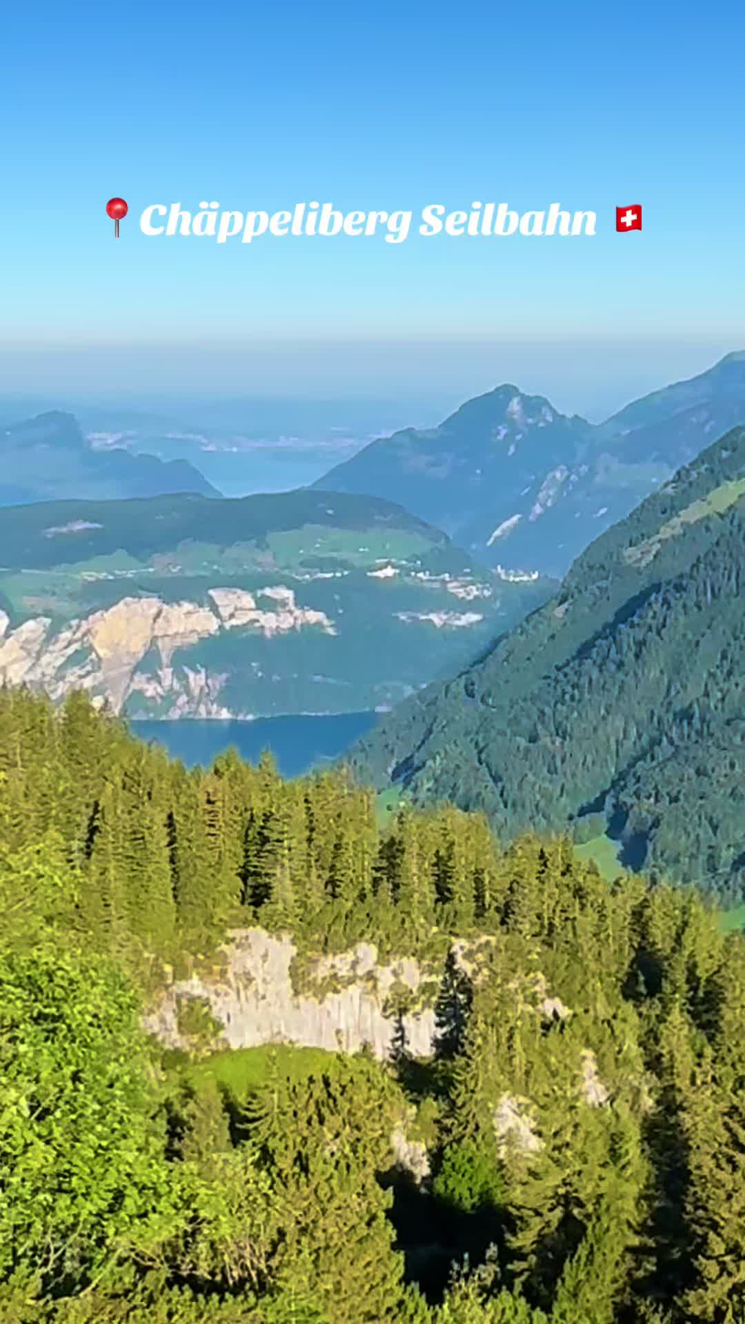 @swiss_alps