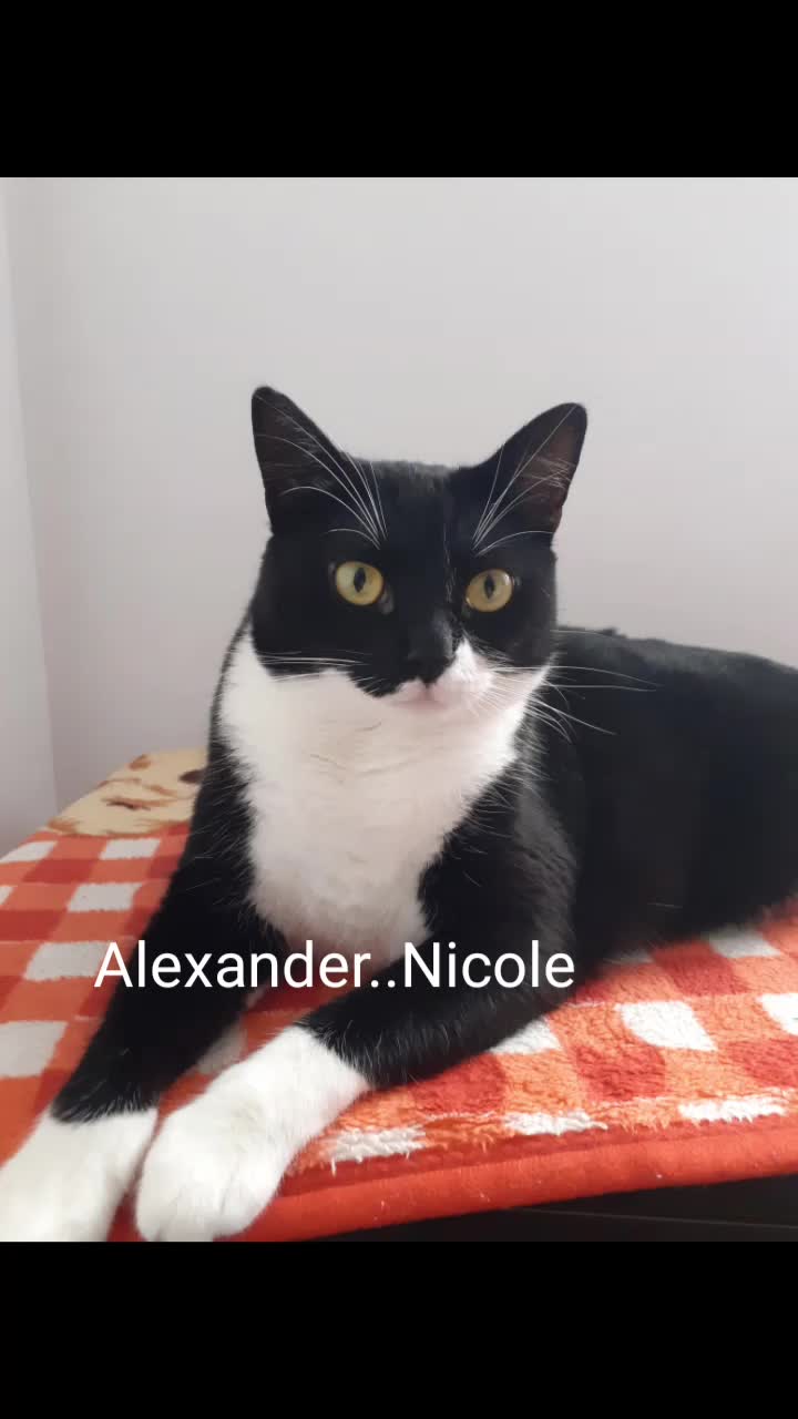 @Alexander..Nicole
