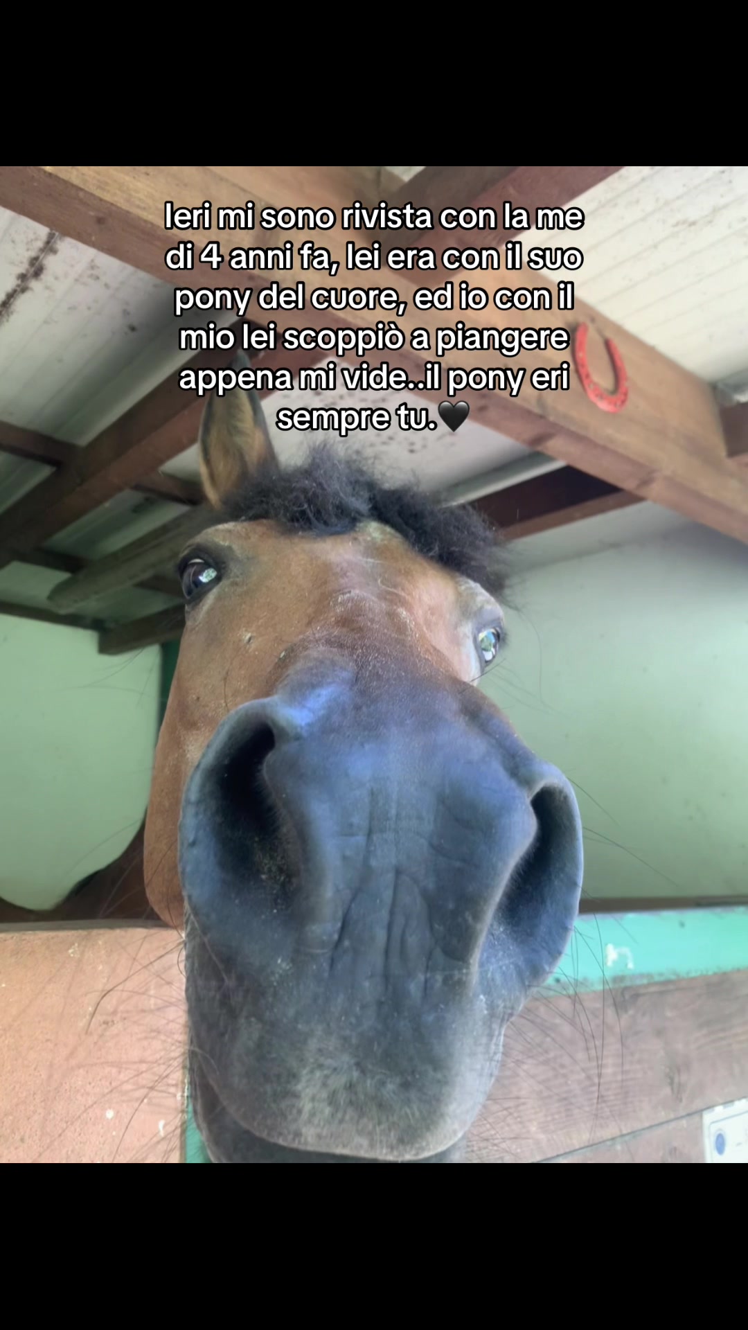 @B O O M 🫂