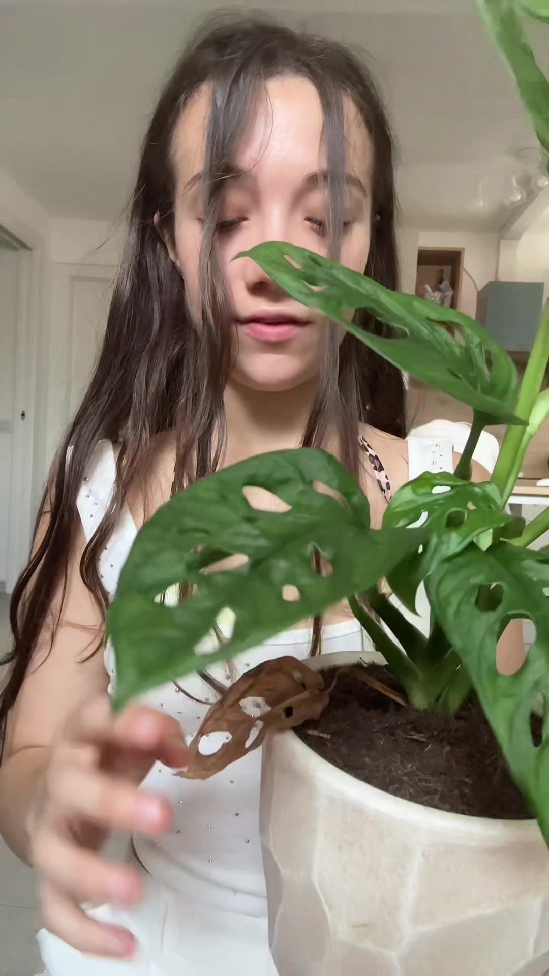 @hel