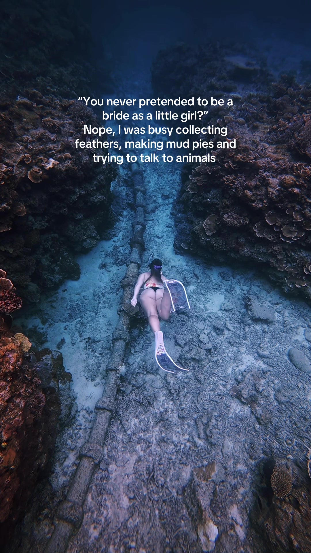 @Polly Frier | Content Creator