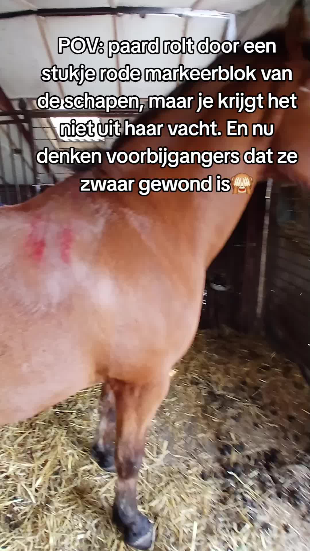 @Sjo's farmvideos