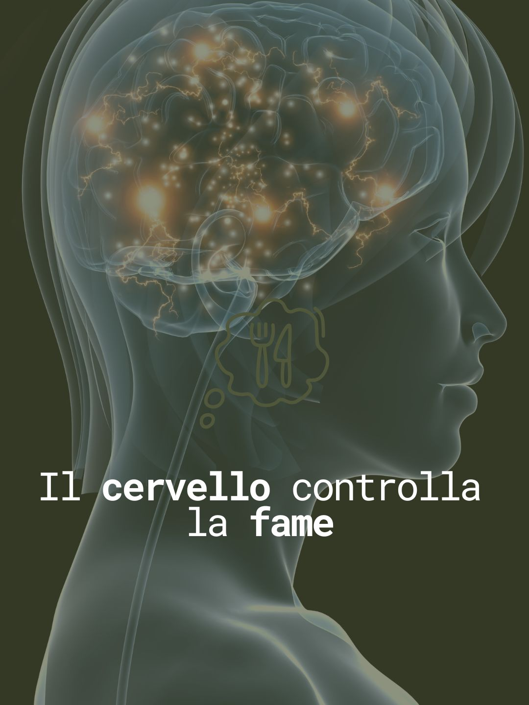 @elenabazzoli.doc