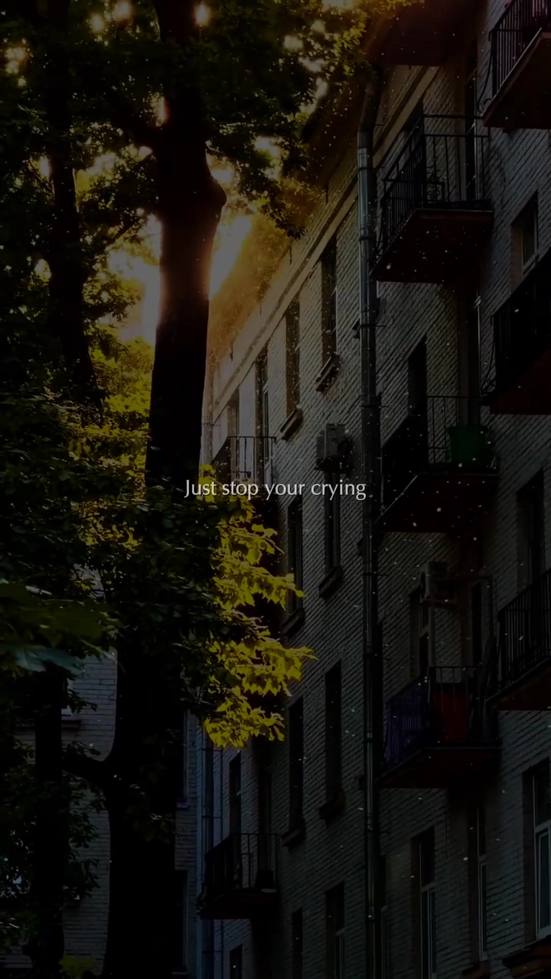 @Lofi