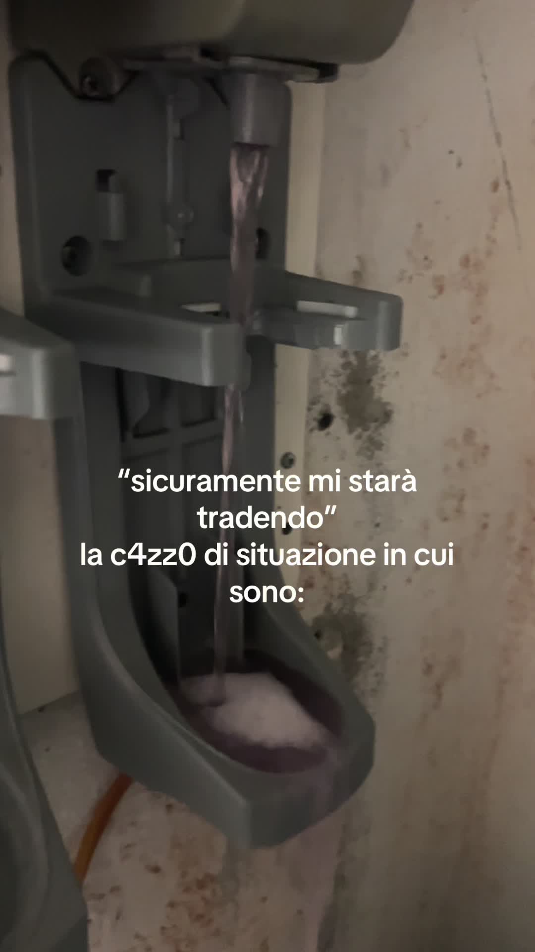 @Camilla De Nardi