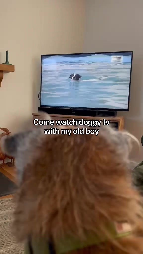 @Ell & Jakey 🐾