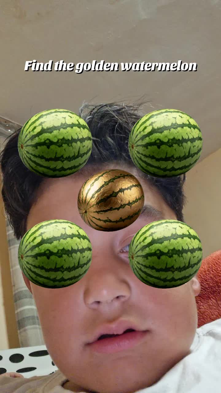 @luizaahmed
