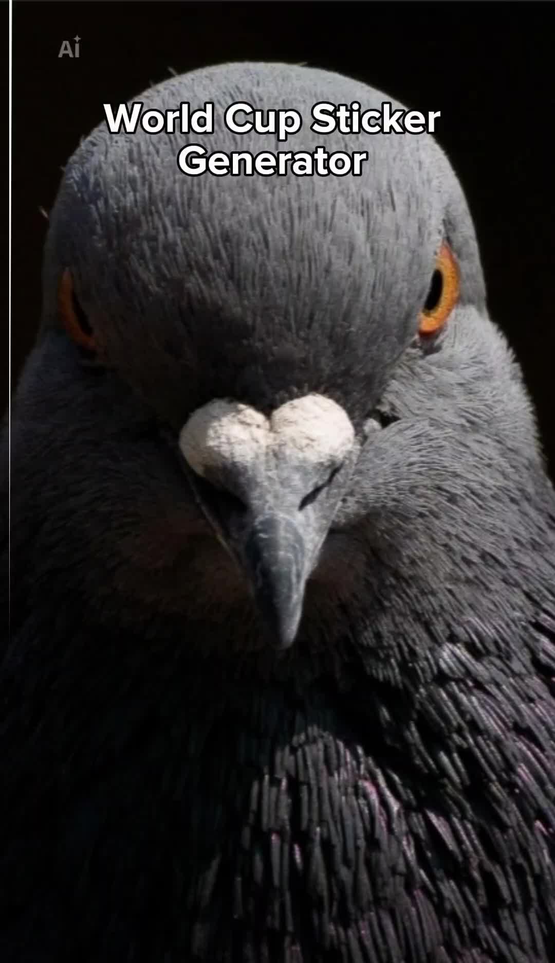 @pigeon_og