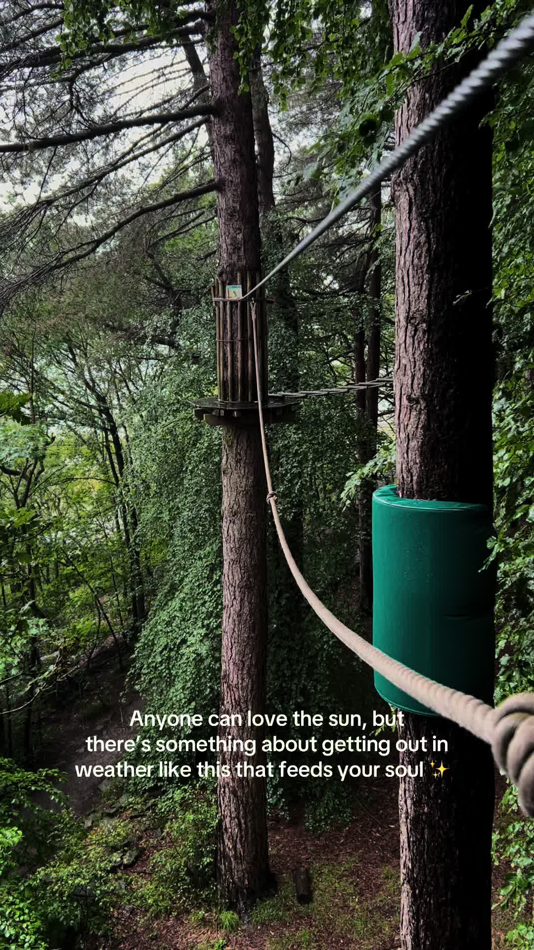 @Go Ape Rivington