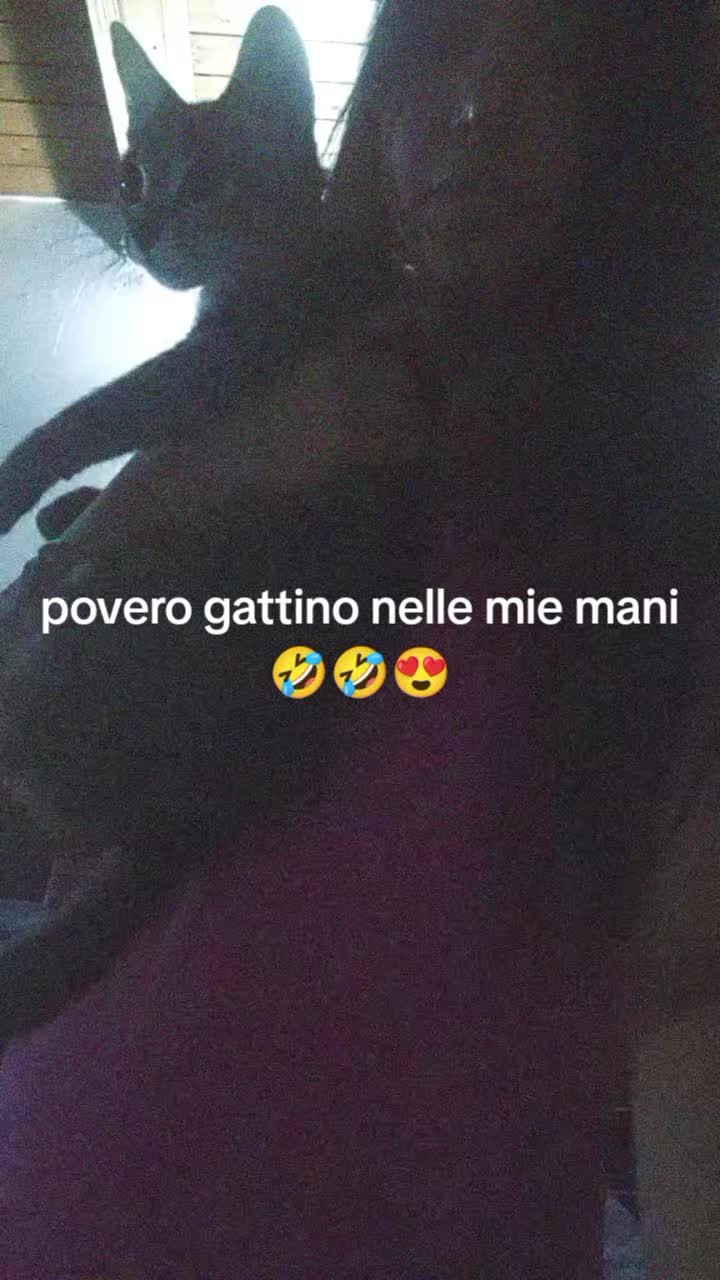 @franci lombardo