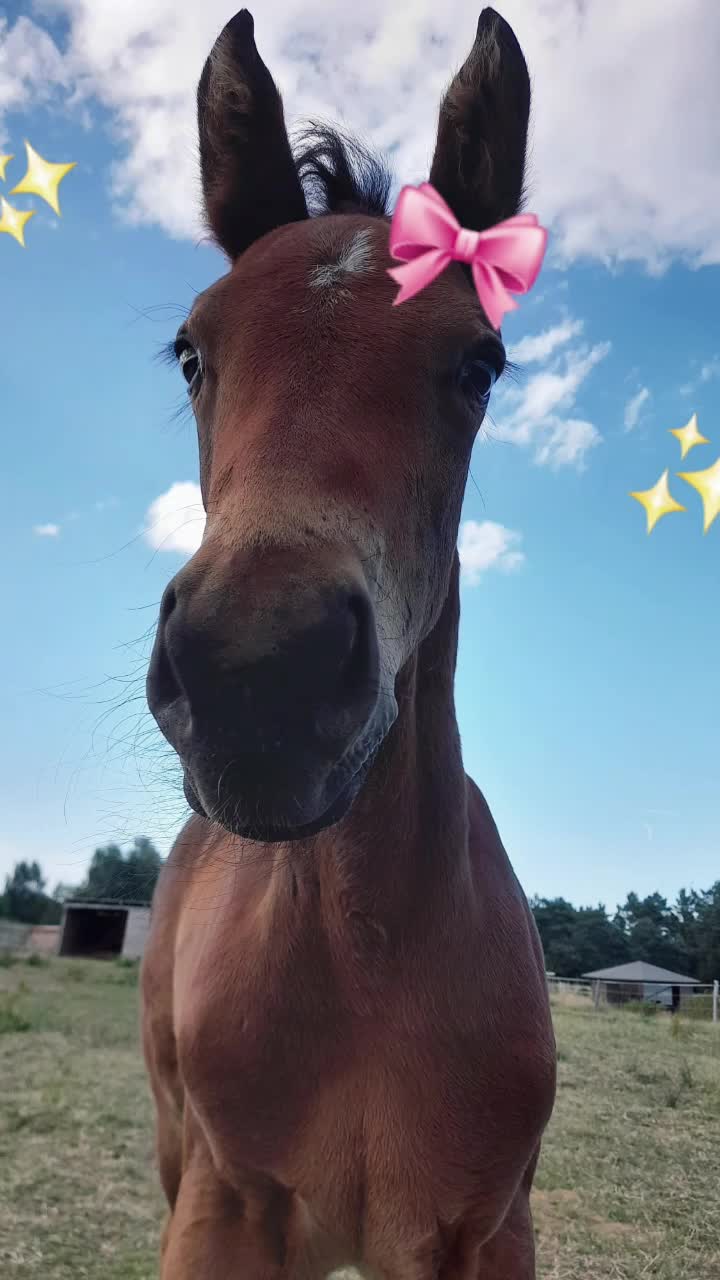 @💐★S★💐