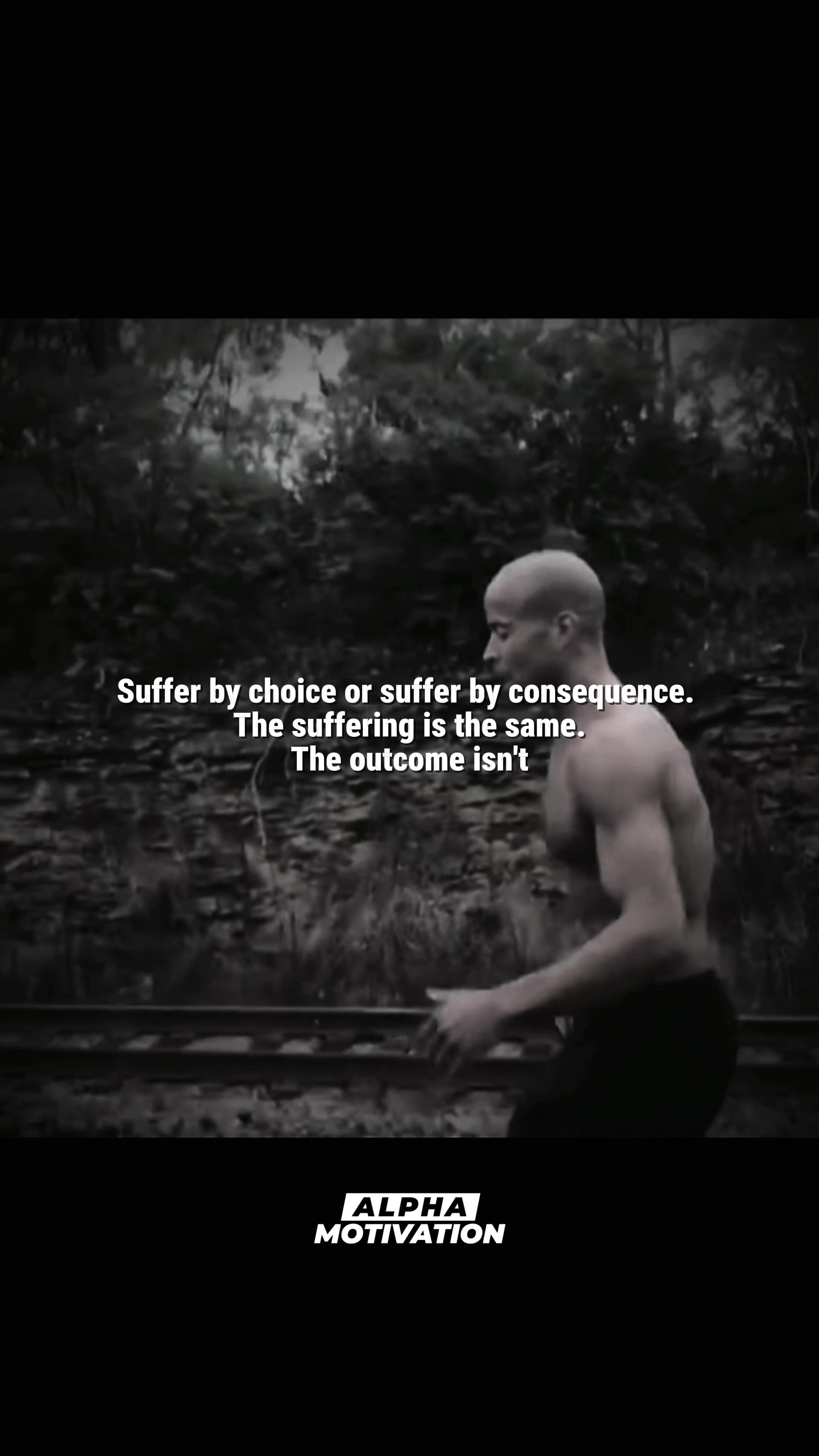 @Alpha Motivation