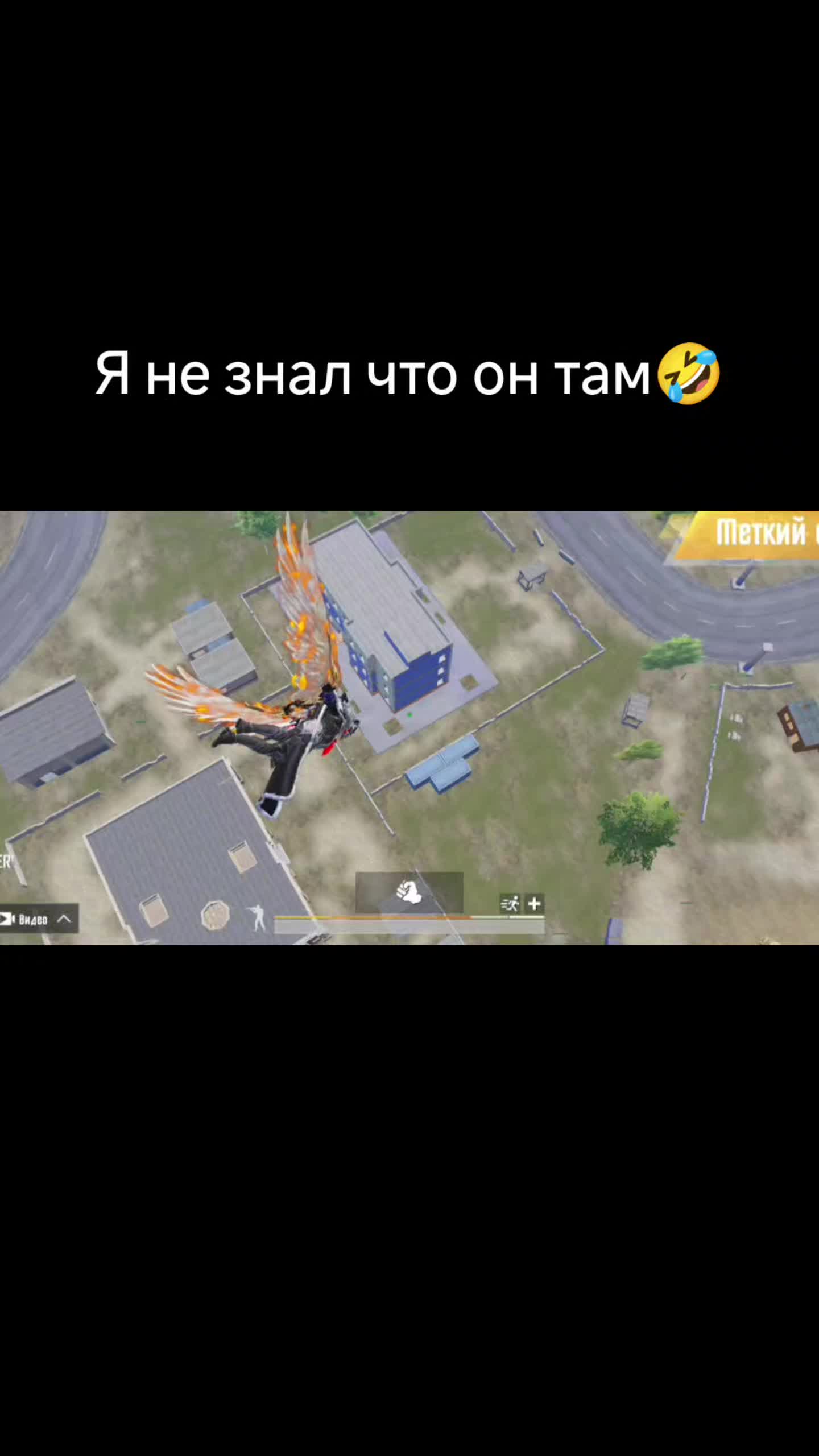 @АМФИБИЯ