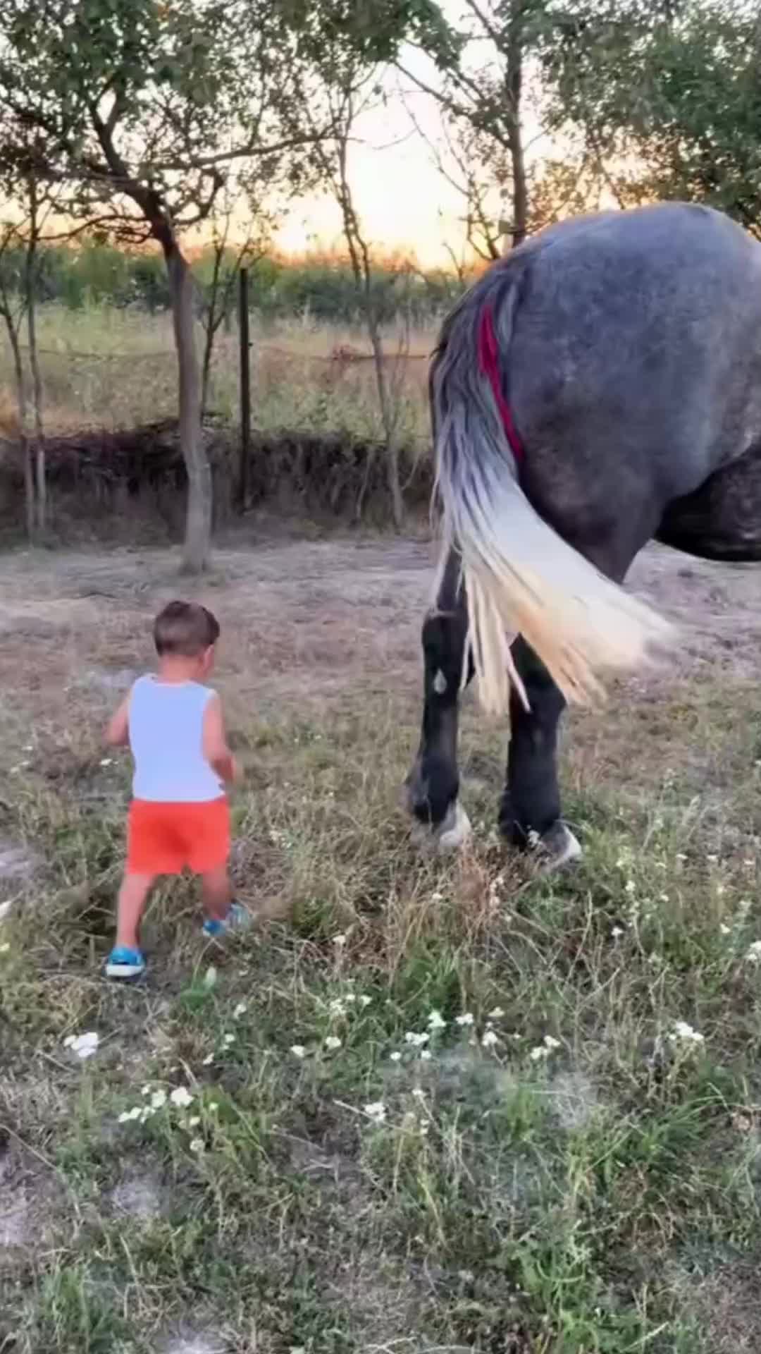 @🐴spartanu80🐴