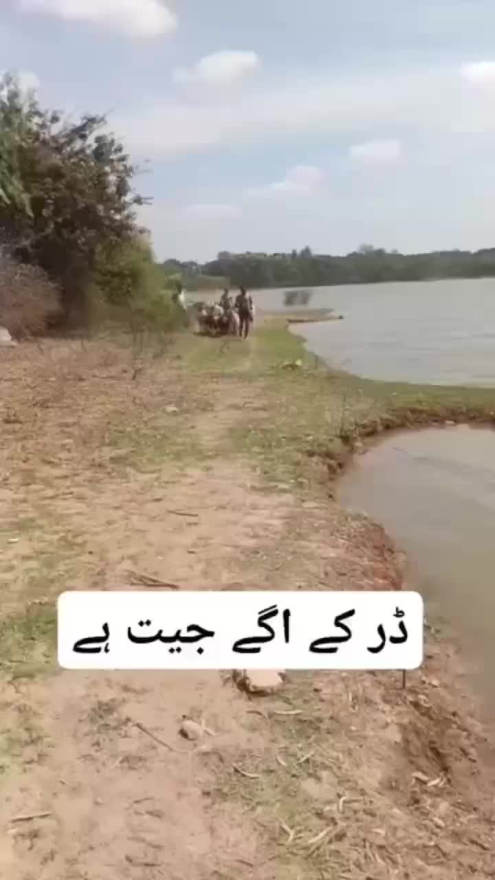 @DrIbrar804