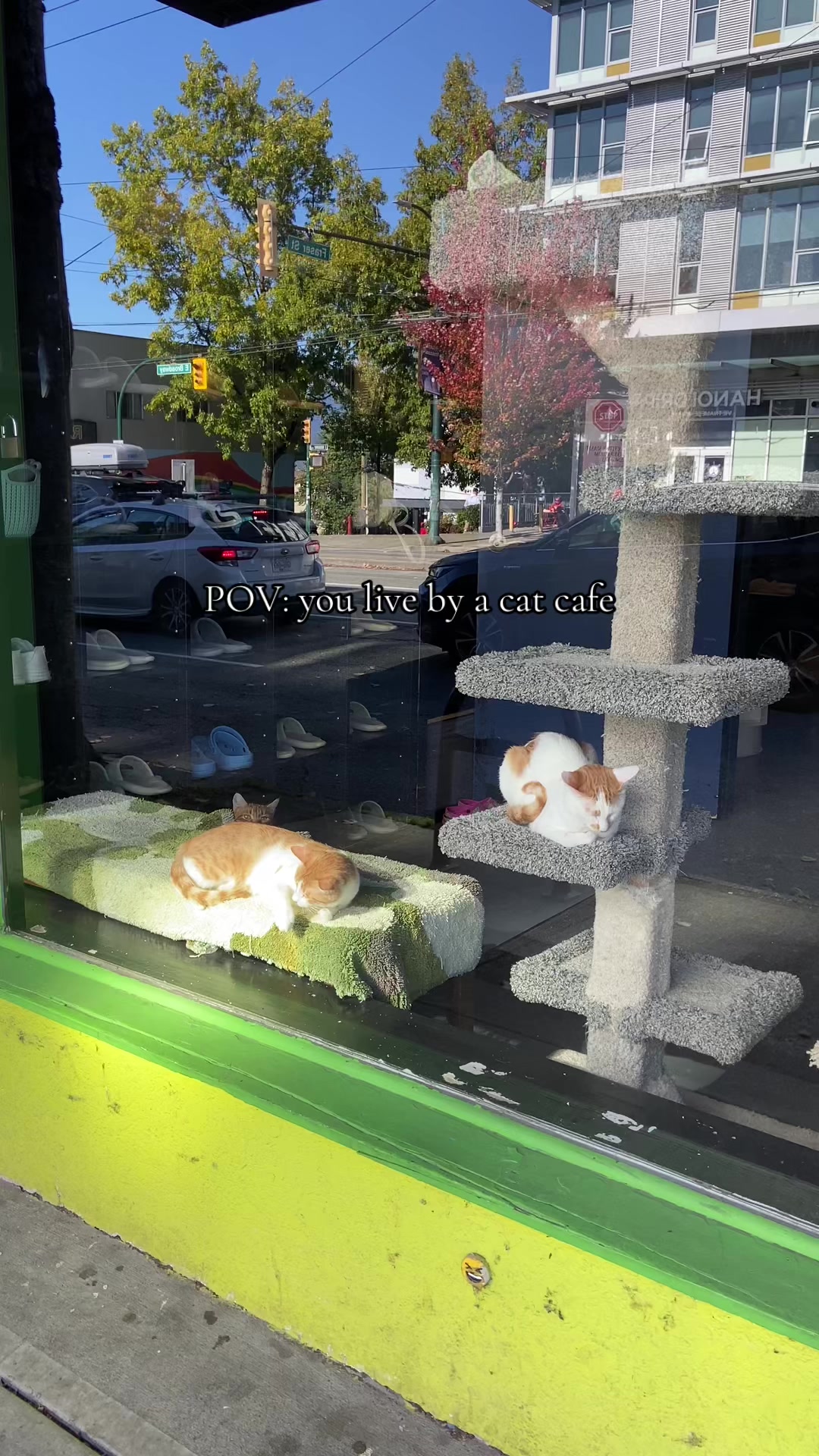 @Catoro Cat Cafe