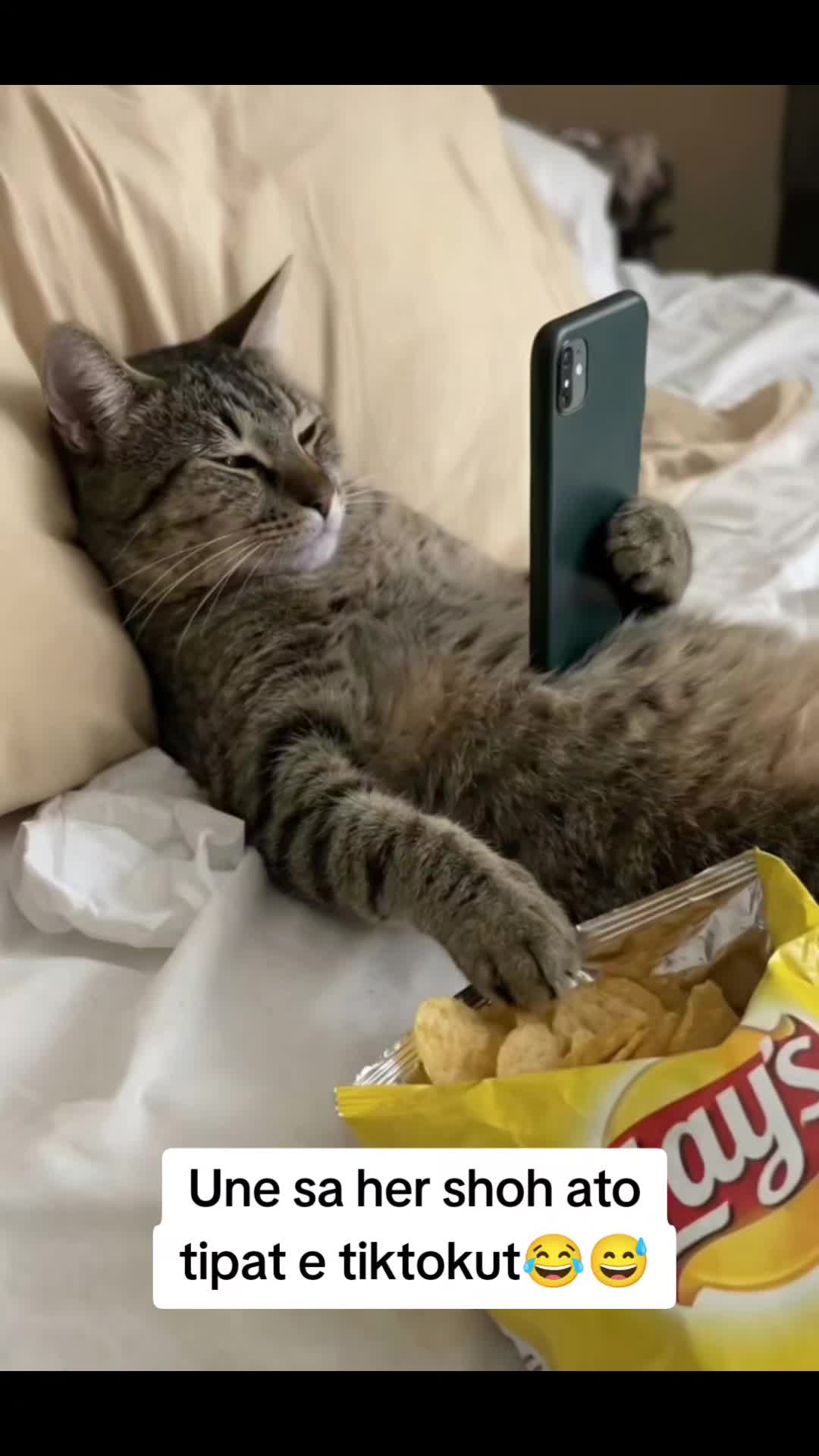 @𝘴ꪑ𝓲ꪶꫀ ☻