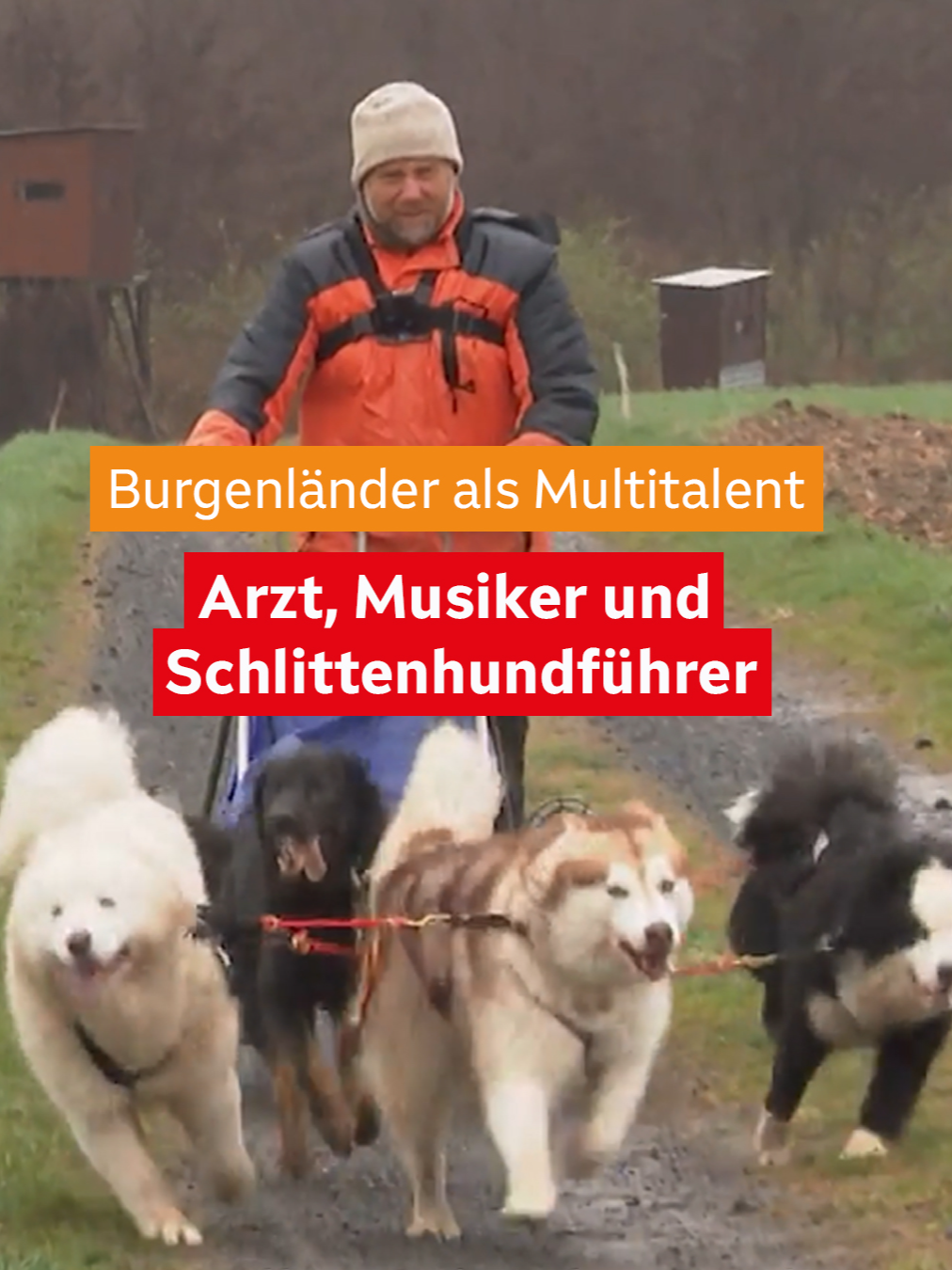 @orfburgenland