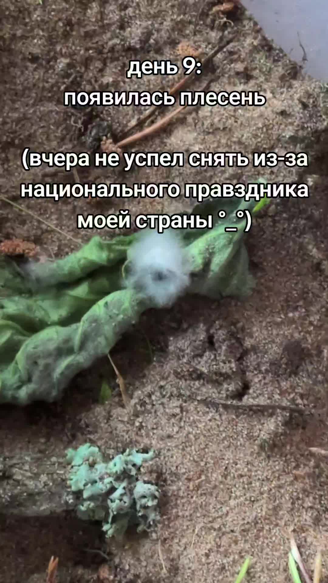 @ЖИЗНЬ В КОРОБКЕ